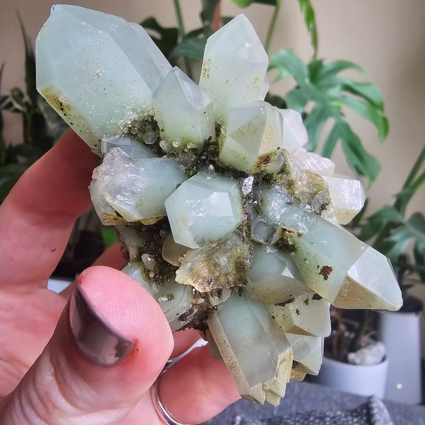 Rare Flowering / Radial Quartz with Fuschite, Chlorite, Phantoms, Inclusions, Epidote Glitter Coating, Top New Find, Hakkari Turkey