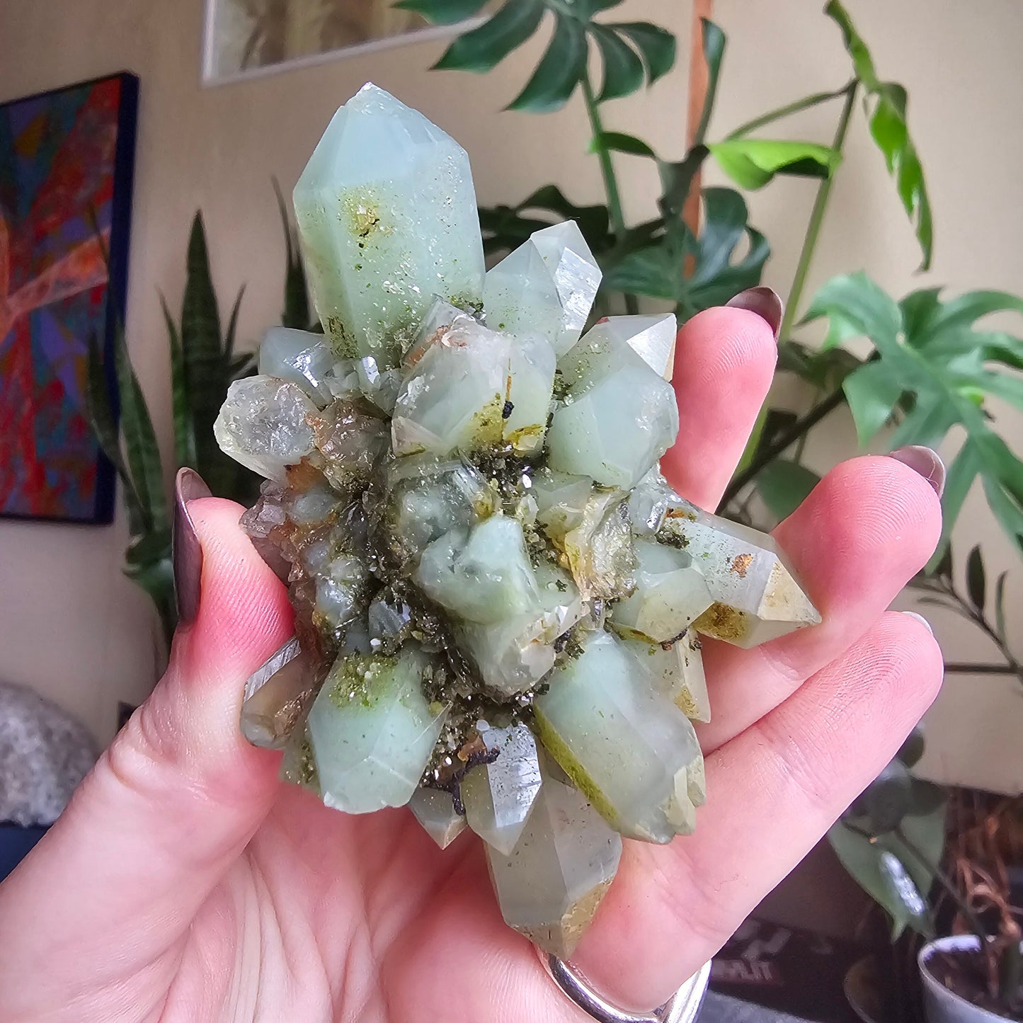 Rare Flowering / Radial Quartz with Fuschite, Chlorite, Phantoms, Inclusions, Epidote Glitter Coating, Top New Find, Hakkari Turkey