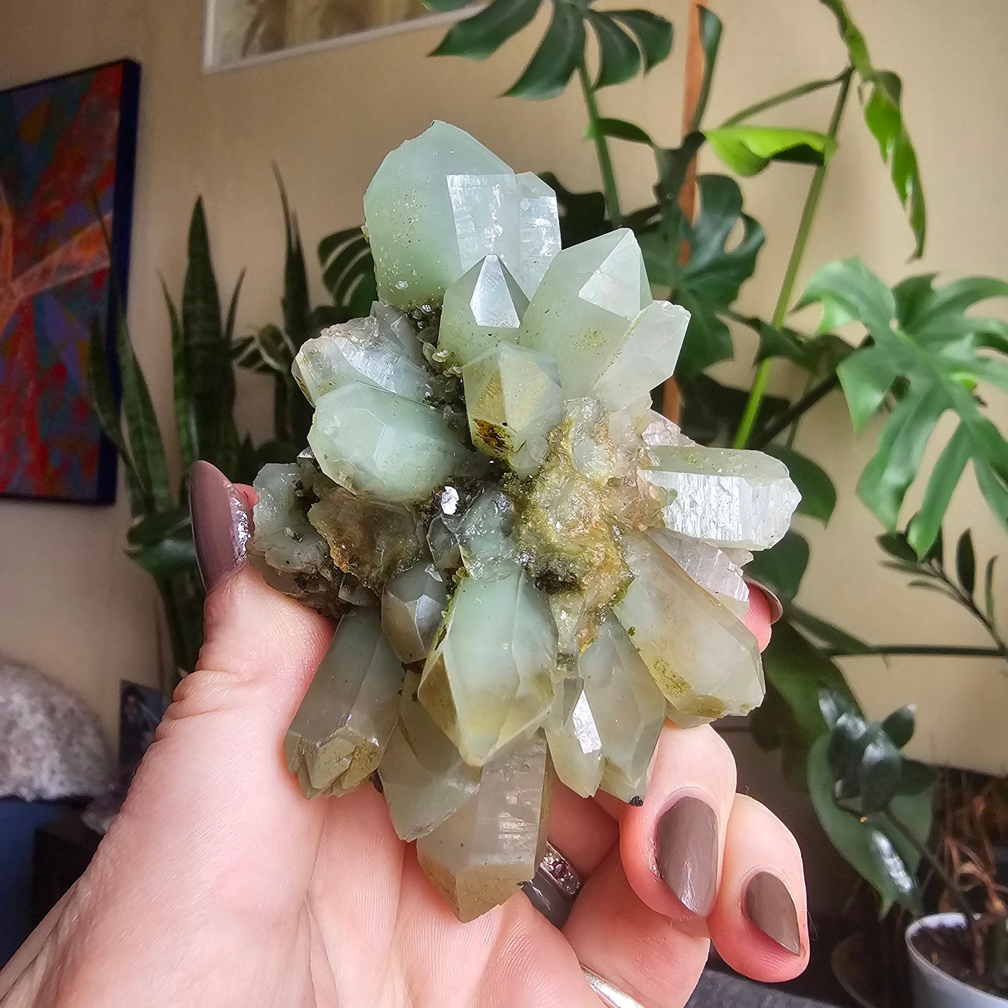Rare Flowering / Radial Quartz with Fuschite, Chlorite, Phantoms, Inclusions, Epidote Glitter Coating, Top New Find, Hakkari Turkey