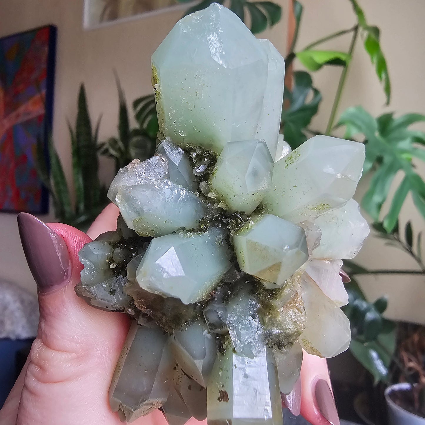 Rare Flowering / Radial Quartz with Fuschite, Chlorite, Phantoms, Inclusions, Epidote Glitter Coating, Top New Find, Hakkari Turkey