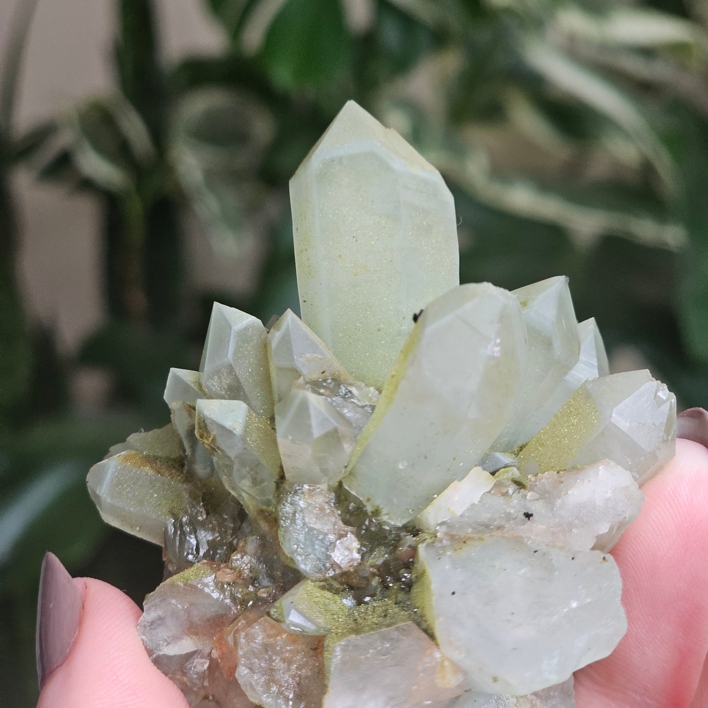 Rare Flowering / Radial Quartz with Fuschite, Chlorite, Phantoms, Inclusions, Epidote Glitter Coating, Top New Find, Hakkari Turkey
