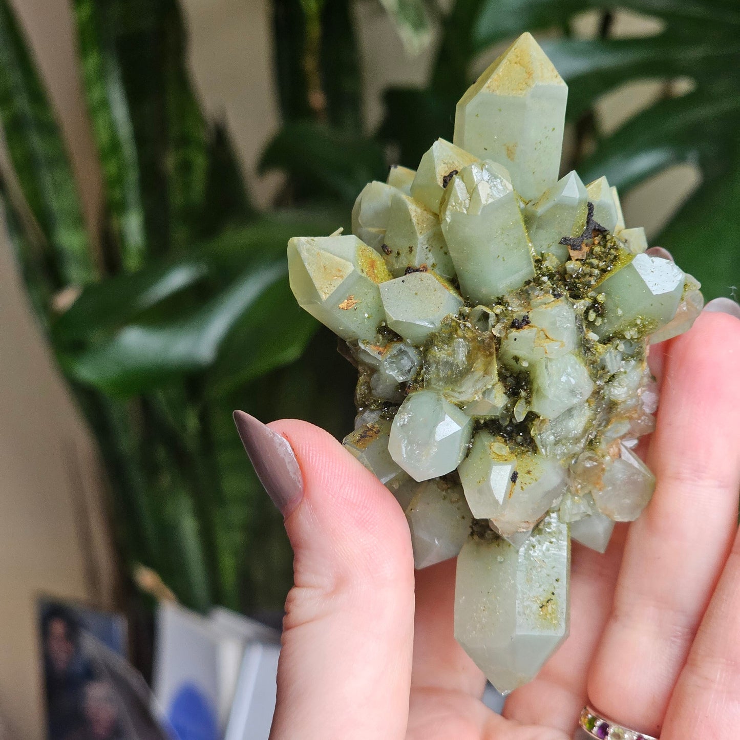 Rare Flowering / Radial Quartz with Fuschite, Chlorite, Phantoms, Inclusions, Epidote Glitter Coating, Top New Find, Hakkari Turkey