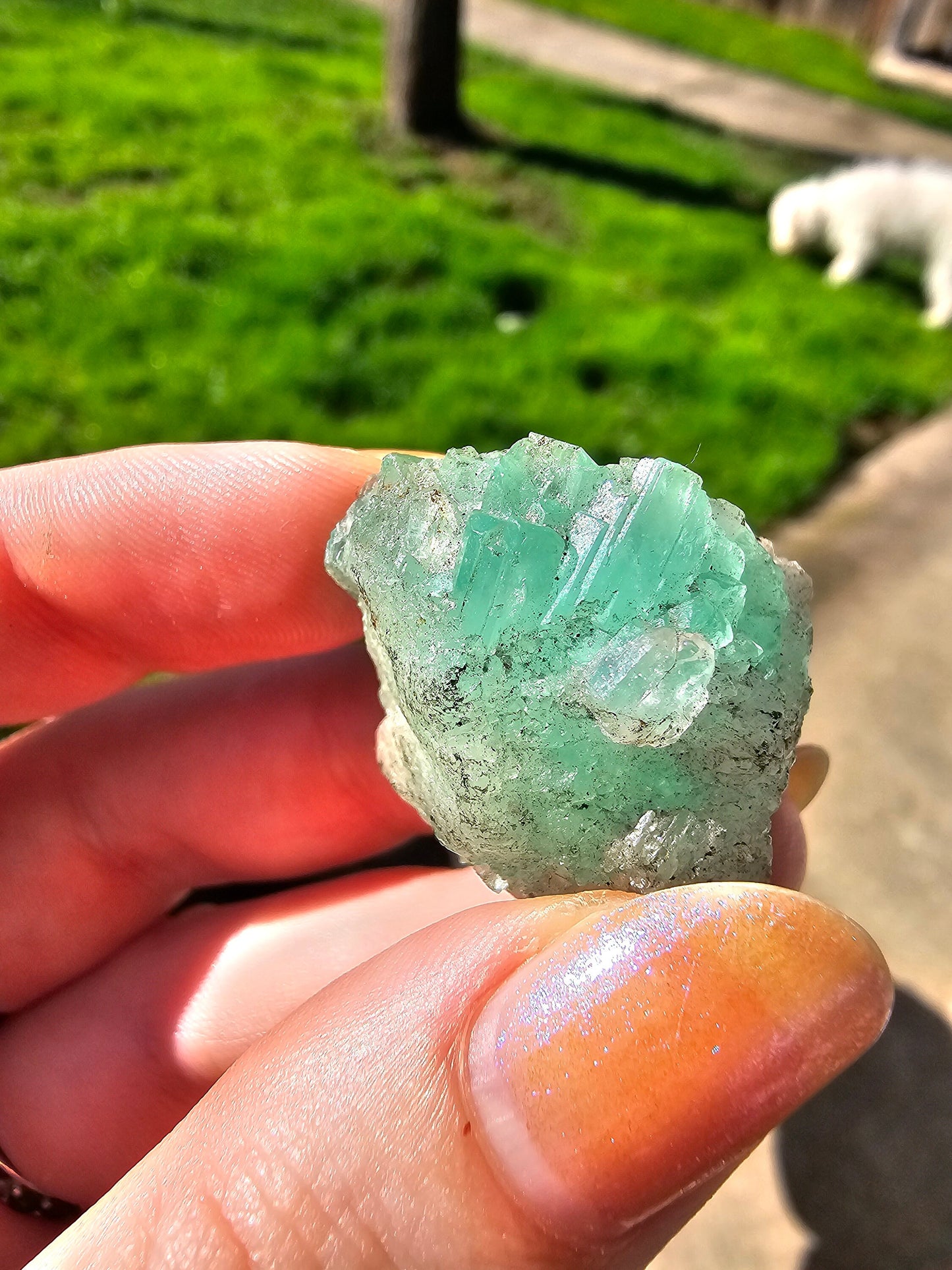 16g Emerald Crystal, Columbia, Muzo Mine, Ethical Direct Sourcing, Raw Rare Minerals, Collection Specimen, Green Emerald Beryl Gemstone