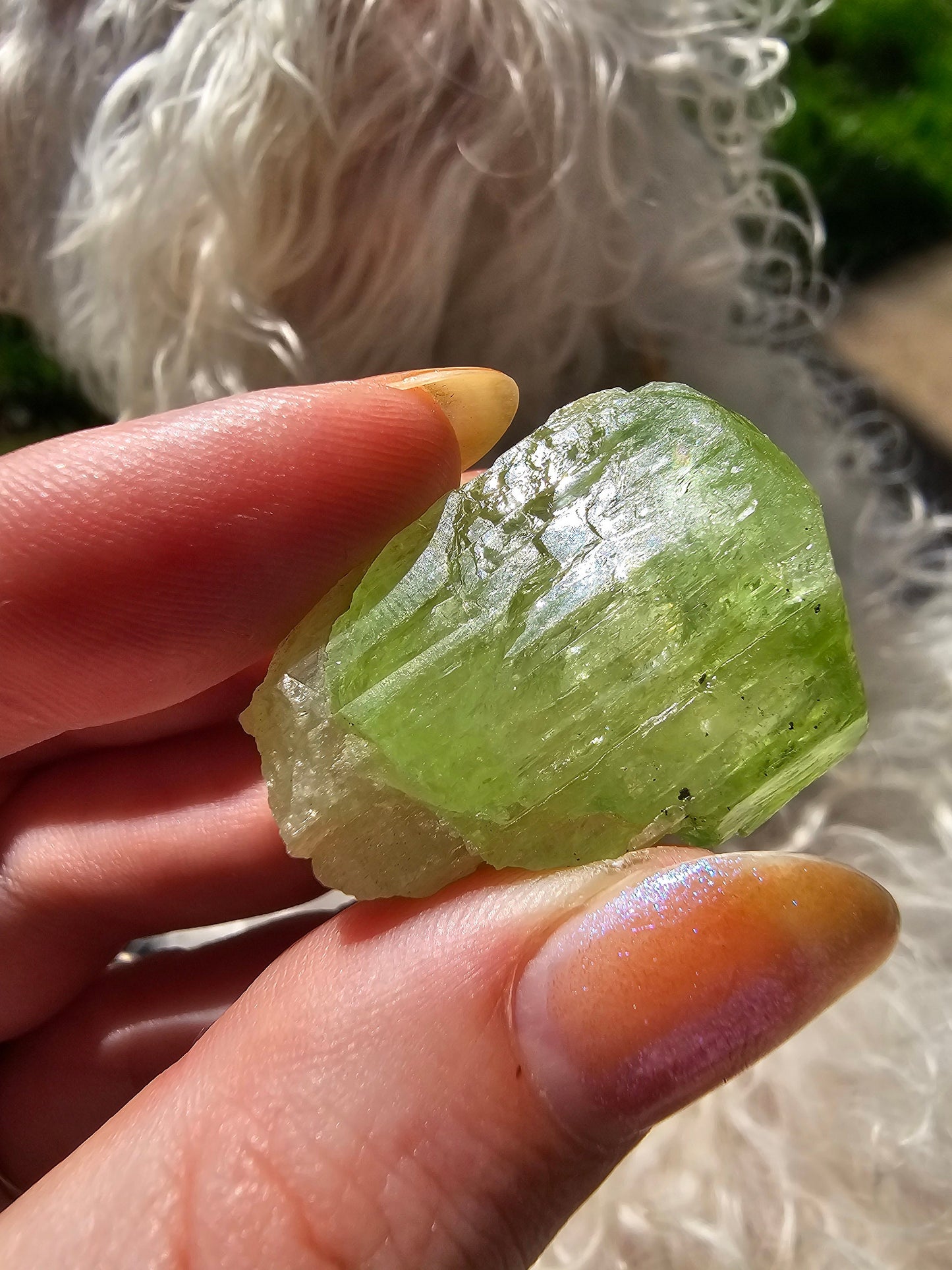 Diopside Crystal, 26g Bright Green, Rare Raw Gemstone, Large Diopside Pendant Specimen, Rough Natural Collector Mineral from Tanzania