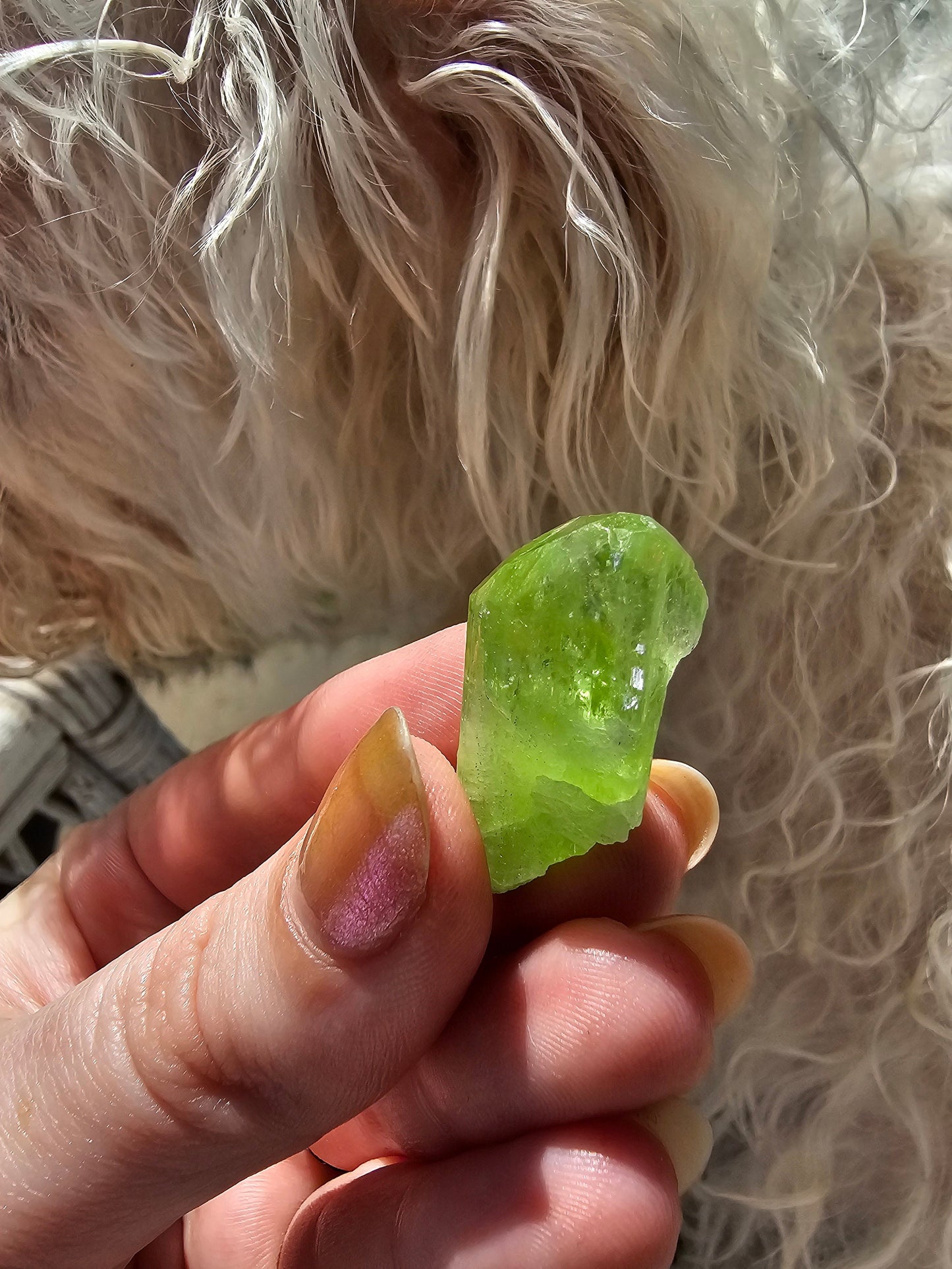 Diopside Crystal, 7.89g Bright Green, Rare Raw Gemstone