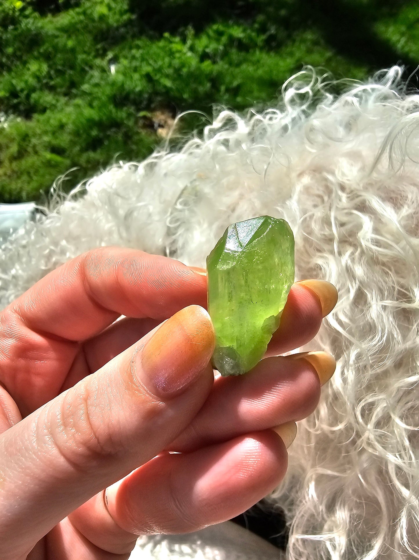 Diopside Crystal, 7.89g Bright Green, Rare Raw Gemstone