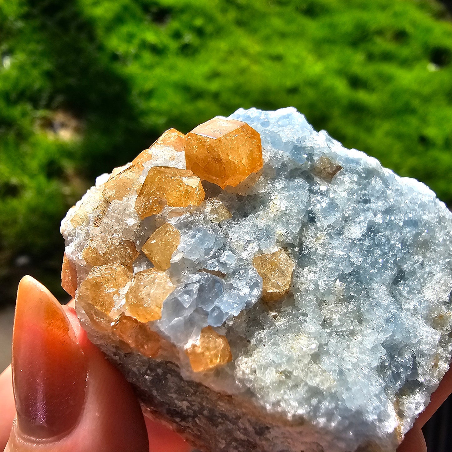 Orange Garnet on Blue Calcite, Rare Old Stock High Color Contrast, Natural Mineral Crystal Specimen from Kenya