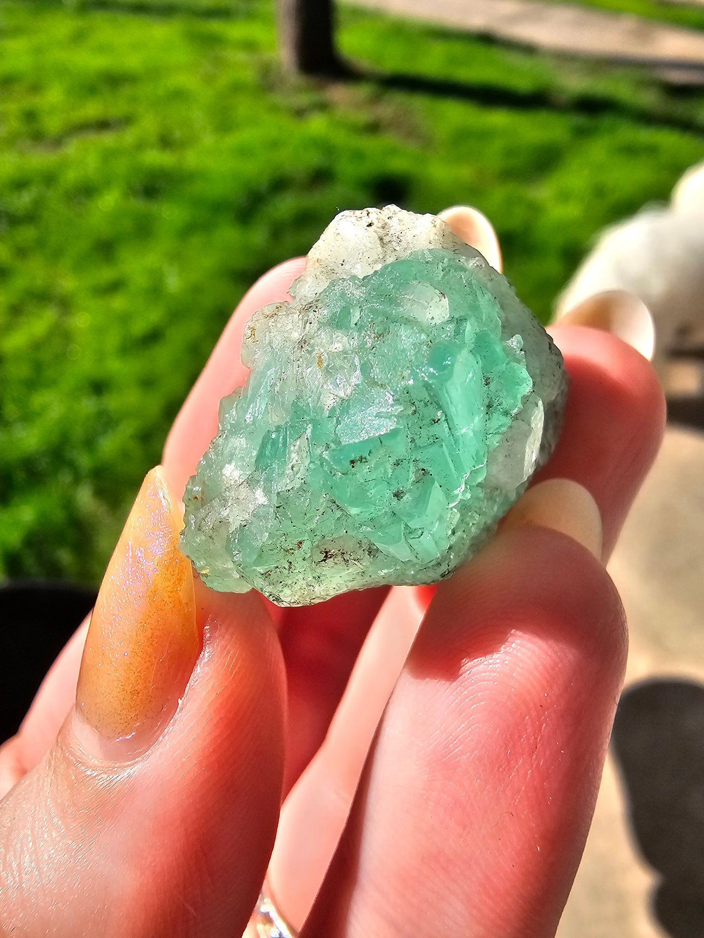 16g Emerald Crystal, Columbia, Muzo Mine, Ethical Direct Sourcing, Raw Rare Minerals, Collection Specimen, Green Emerald Beryl Gemstone