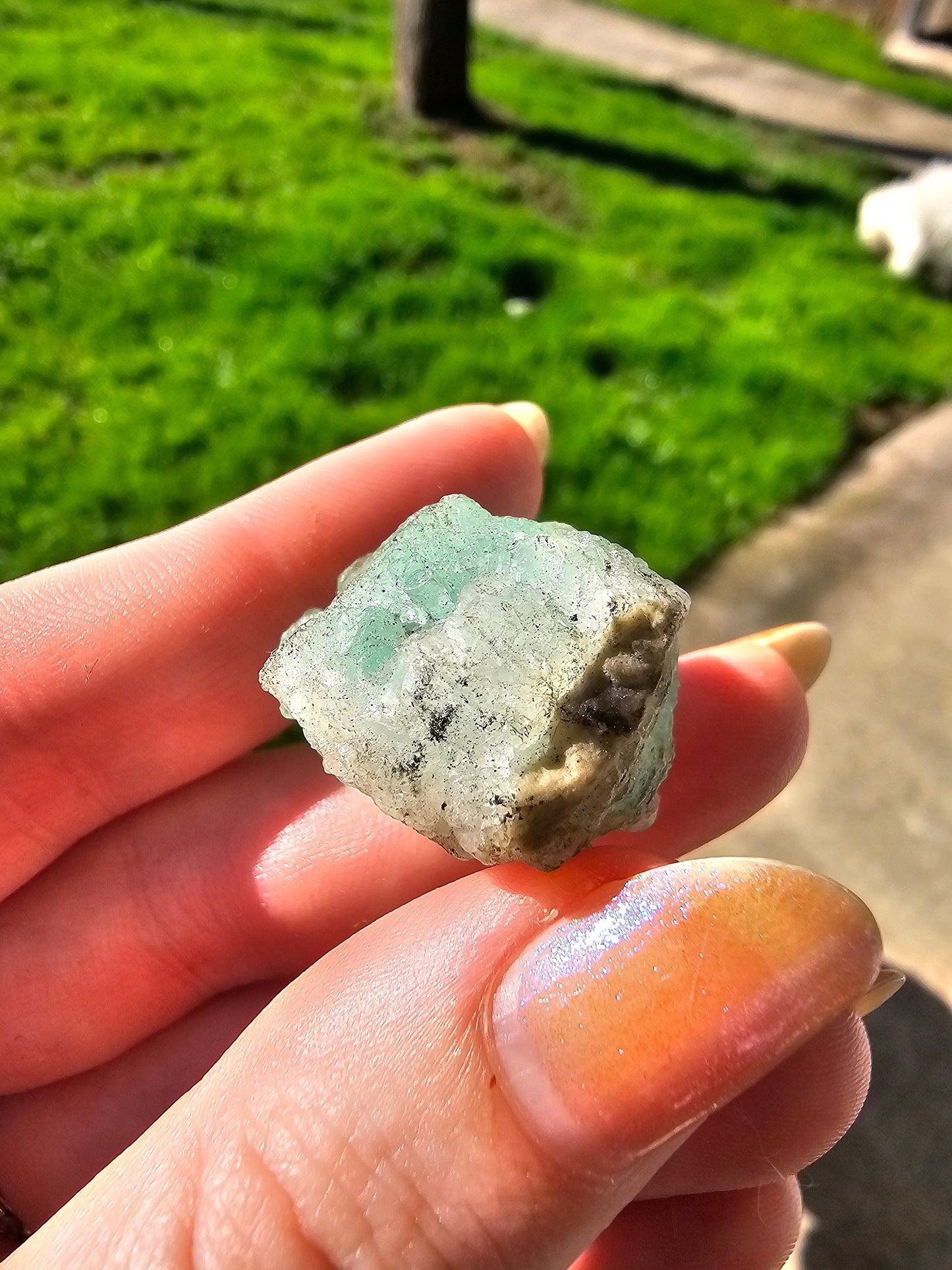 16g Emerald Crystal, Columbia, Muzo Mine, Ethical Direct Sourcing, Raw Rare Minerals, Collection Specimen, Green Emerald Beryl Gemstone