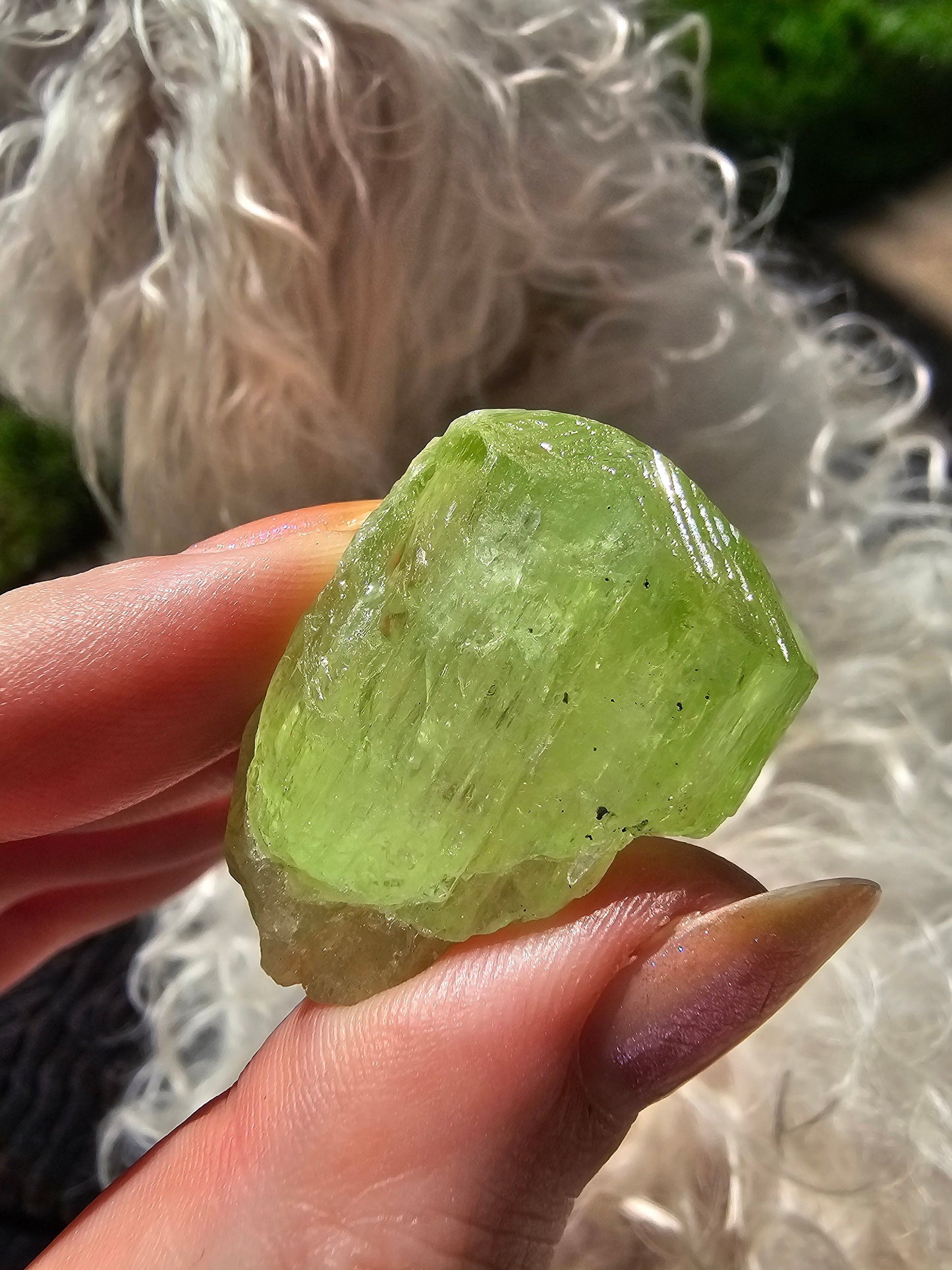 Diopside Crystal, 26g Bright Green, Rare Raw Gemstone, Large Diopside Pendant Specimen, Rough Natural Collector Mineral from Tanzania