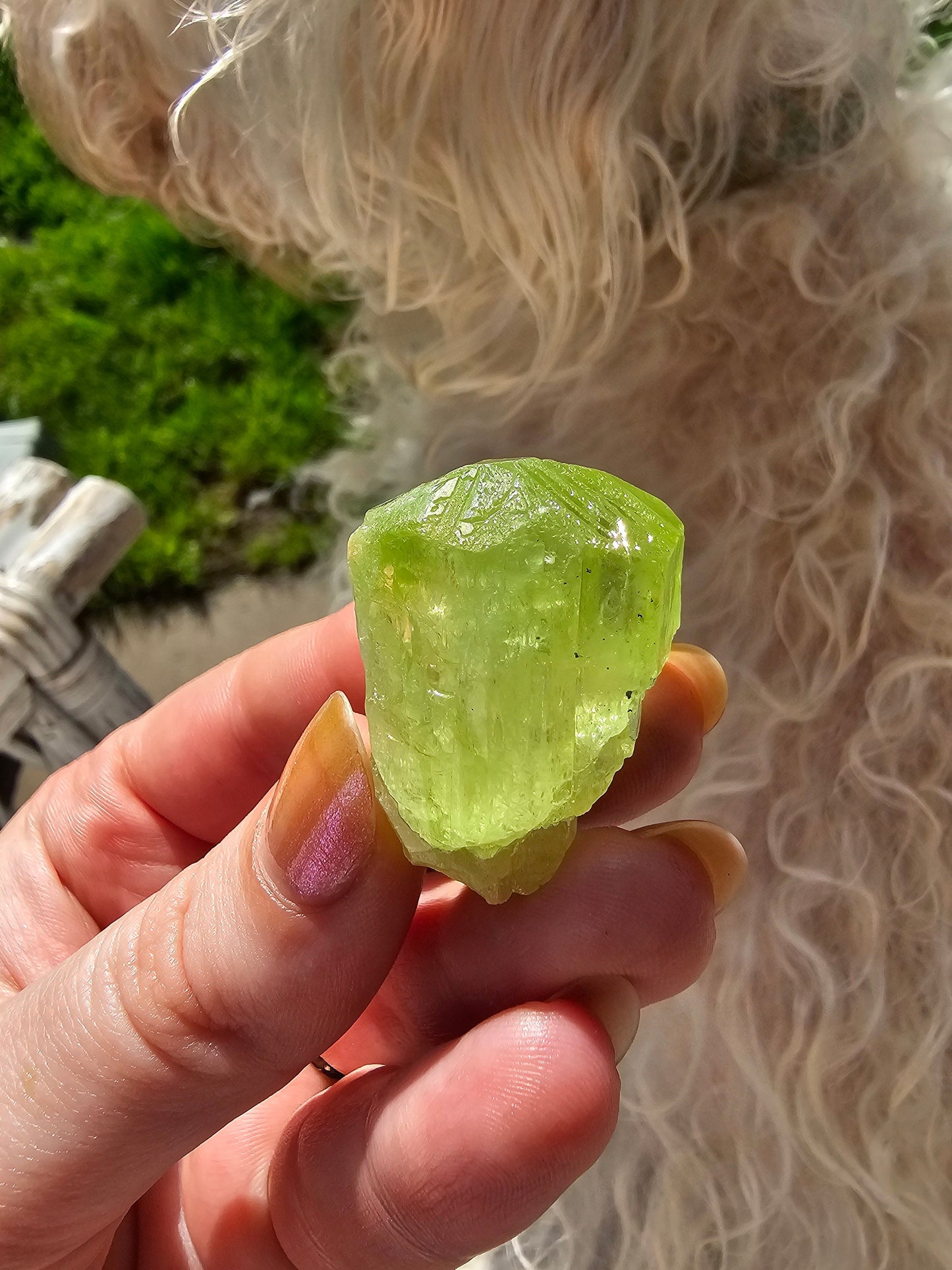 Diopside Crystal, 26g Bright Green, Rare Raw Gemstone, Large Diopside Pendant Specimen, Rough Natural Collector Mineral from Tanzania