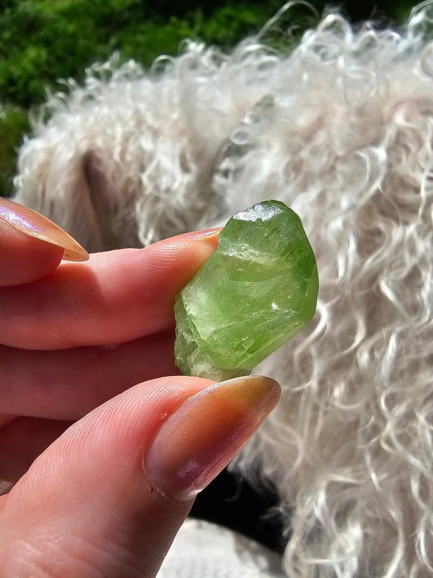 Diopside Crystal, 7.89g Bright Green, Rare Raw Gemstone
