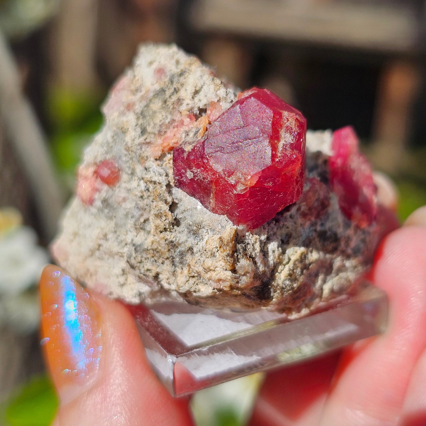 Raspberry Garnet on Matrix, Rare Raw Old Stock Mineral Specimen, Sierra de las Cruces Mexico, Local High End Rosalite, Deep Lustrous & Gemmy