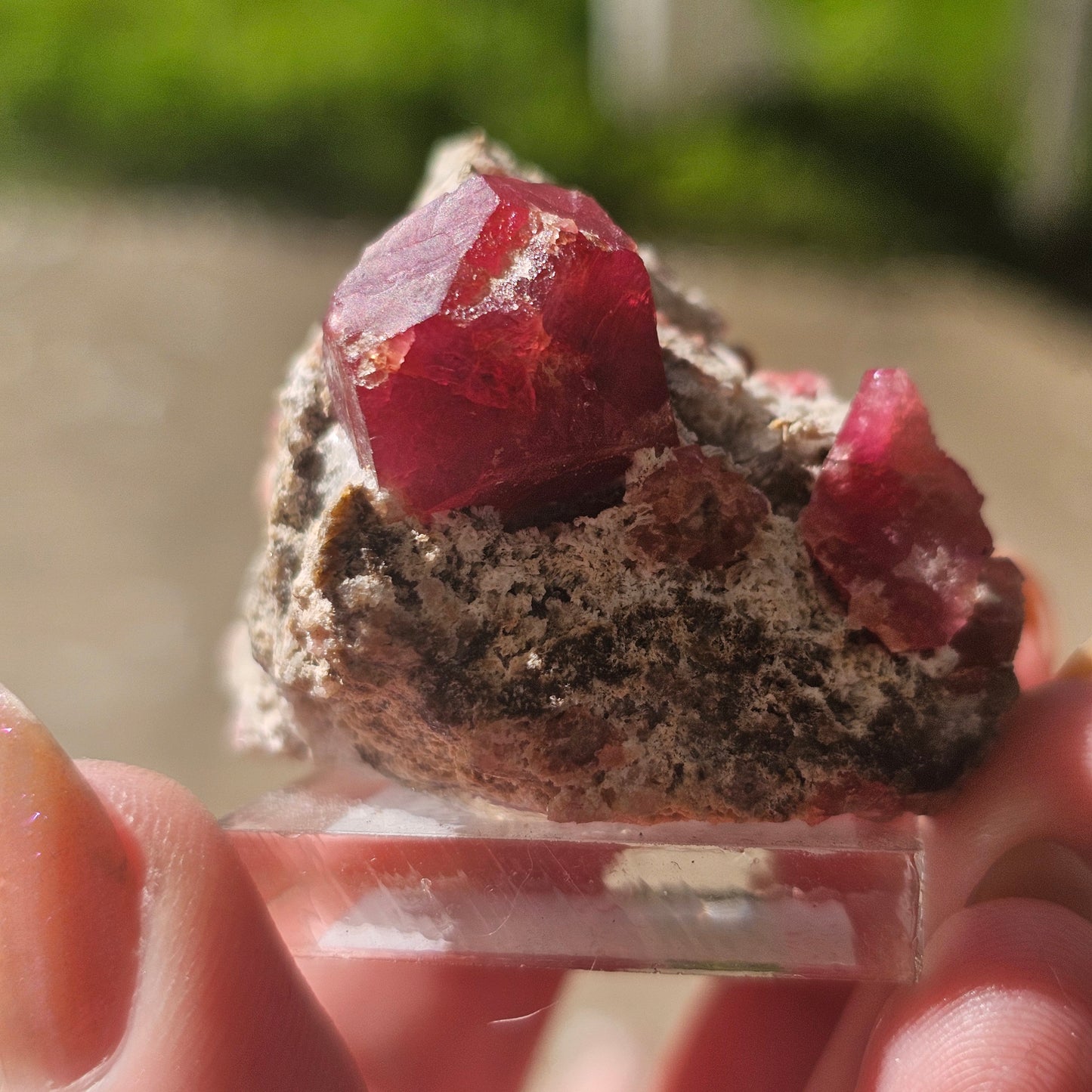 Raspberry Garnet on Matrix, Rare Raw Old Stock Mineral Specimen, Sierra de las Cruces Mexico, Local High End Rosalite, Deep Lustrous & Gemmy