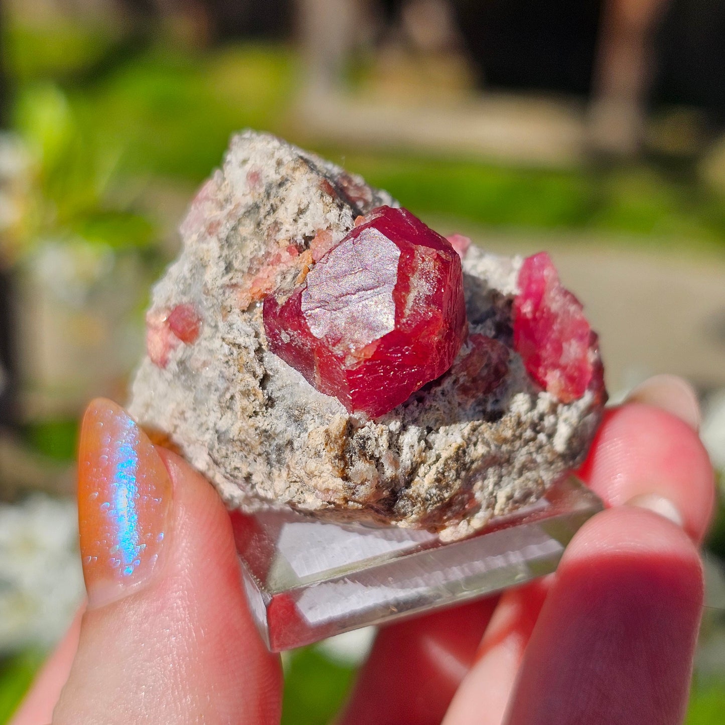Raspberry Garnet on Matrix, Rare Raw Old Stock Mineral Specimen, Sierra de las Cruces Mexico, Local High End Rosalite, Deep Lustrous & Gemmy