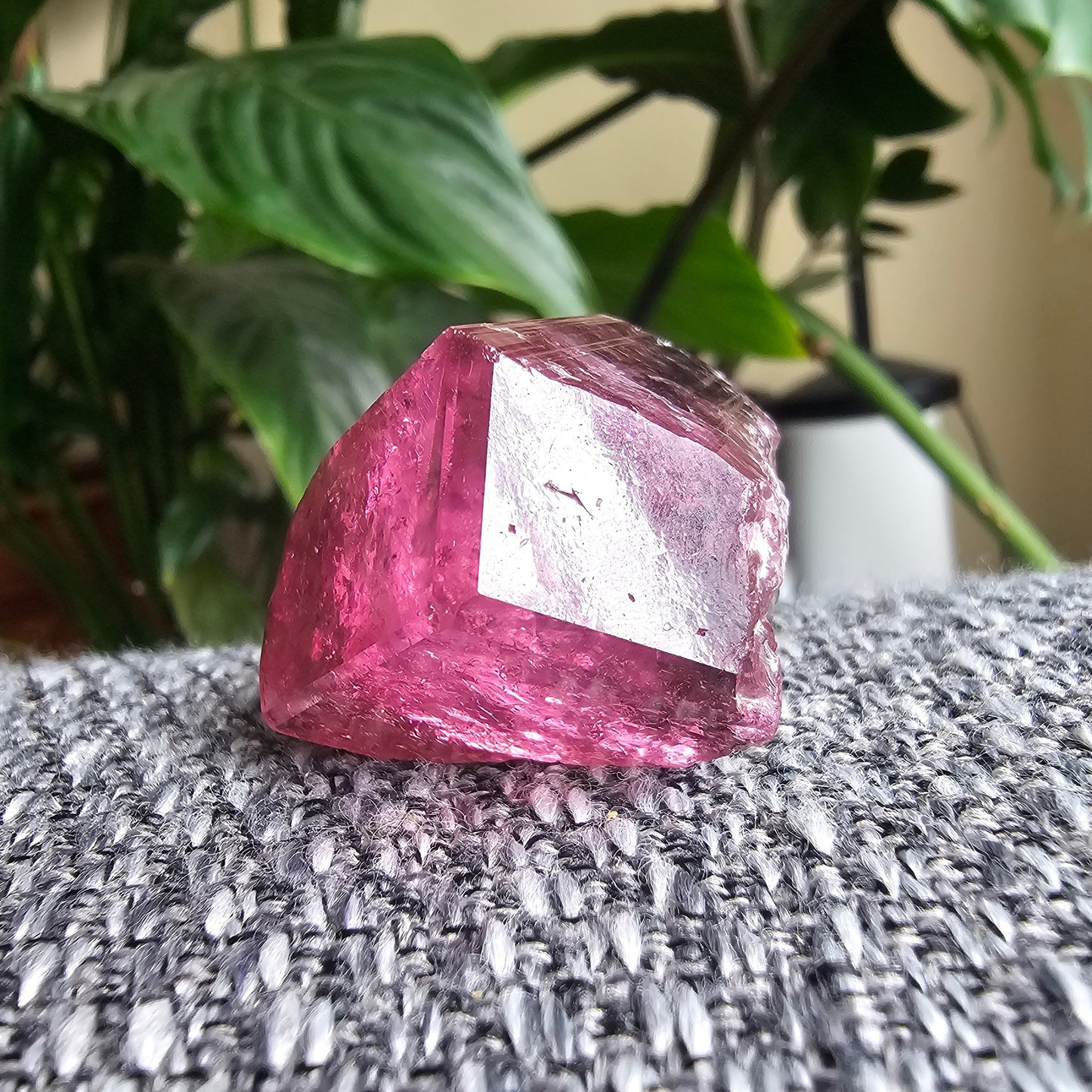RESERVED for P. ~ Payment 1, Rubellite, Bicolor Tourmaline, Hot Pink Polychrome Elbaite, Large 56g Crystal, High Grade, Self Standing Gem