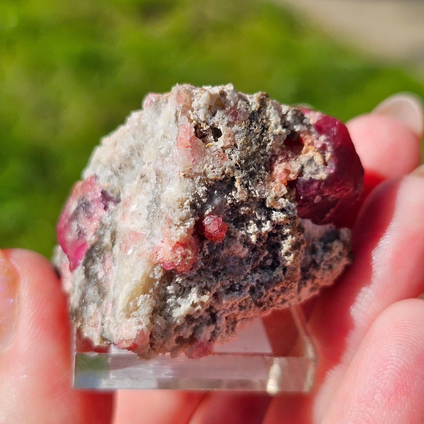 Raspberry Garnet on Matrix, Rare Raw Old Stock Mineral Specimen, Sierra de las Cruces Mexico, Local High End Rosalite, Deep Lustrous & Gemmy