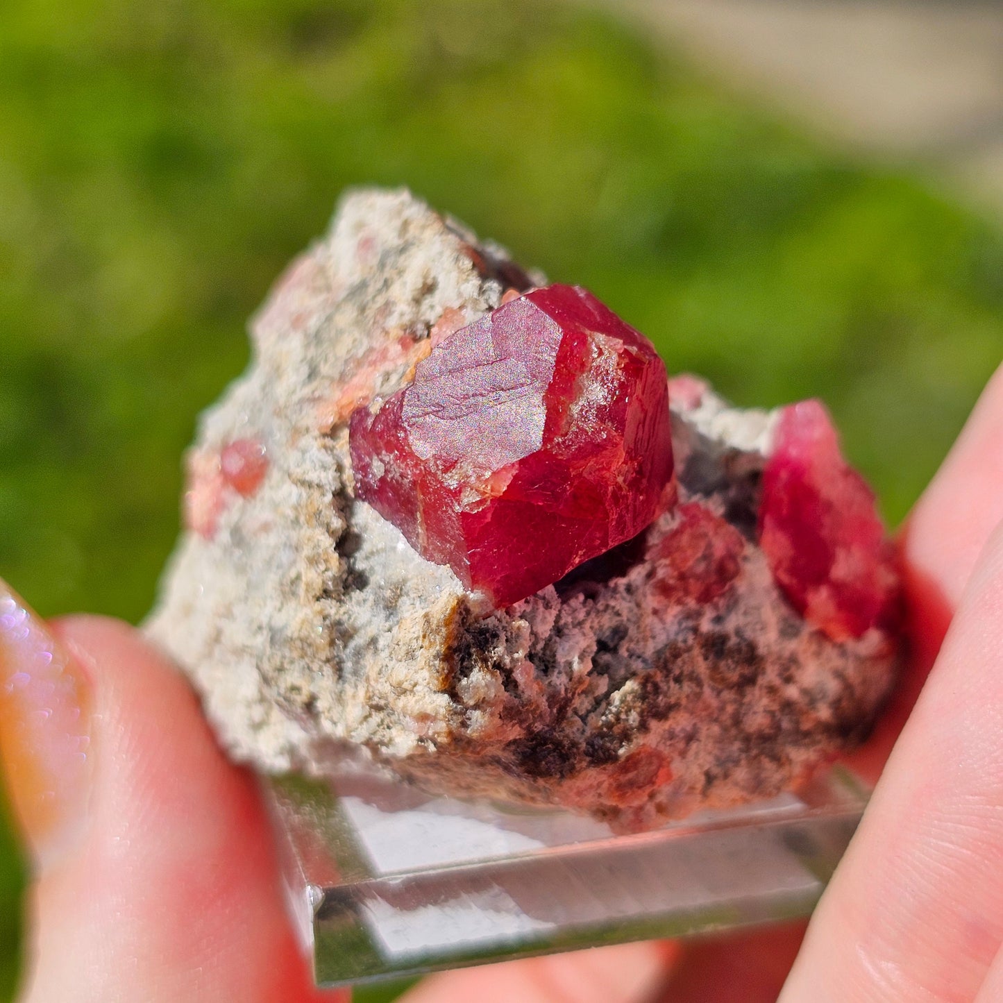 Raspberry Garnet on Matrix, Rare Raw Old Stock Mineral Specimen, Sierra de las Cruces Mexico, Local High End Rosalite, Deep Lustrous & Gemmy