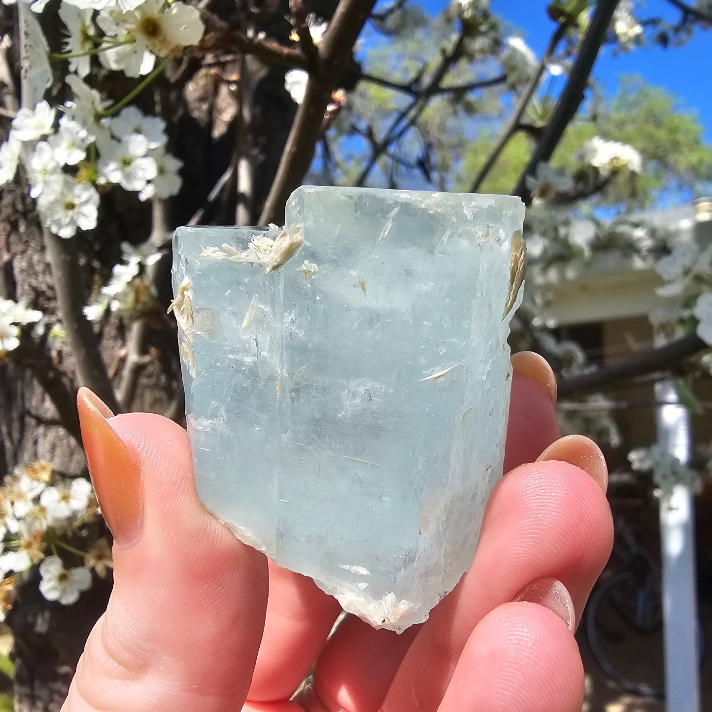 Aquamarine w Silver Muscovite