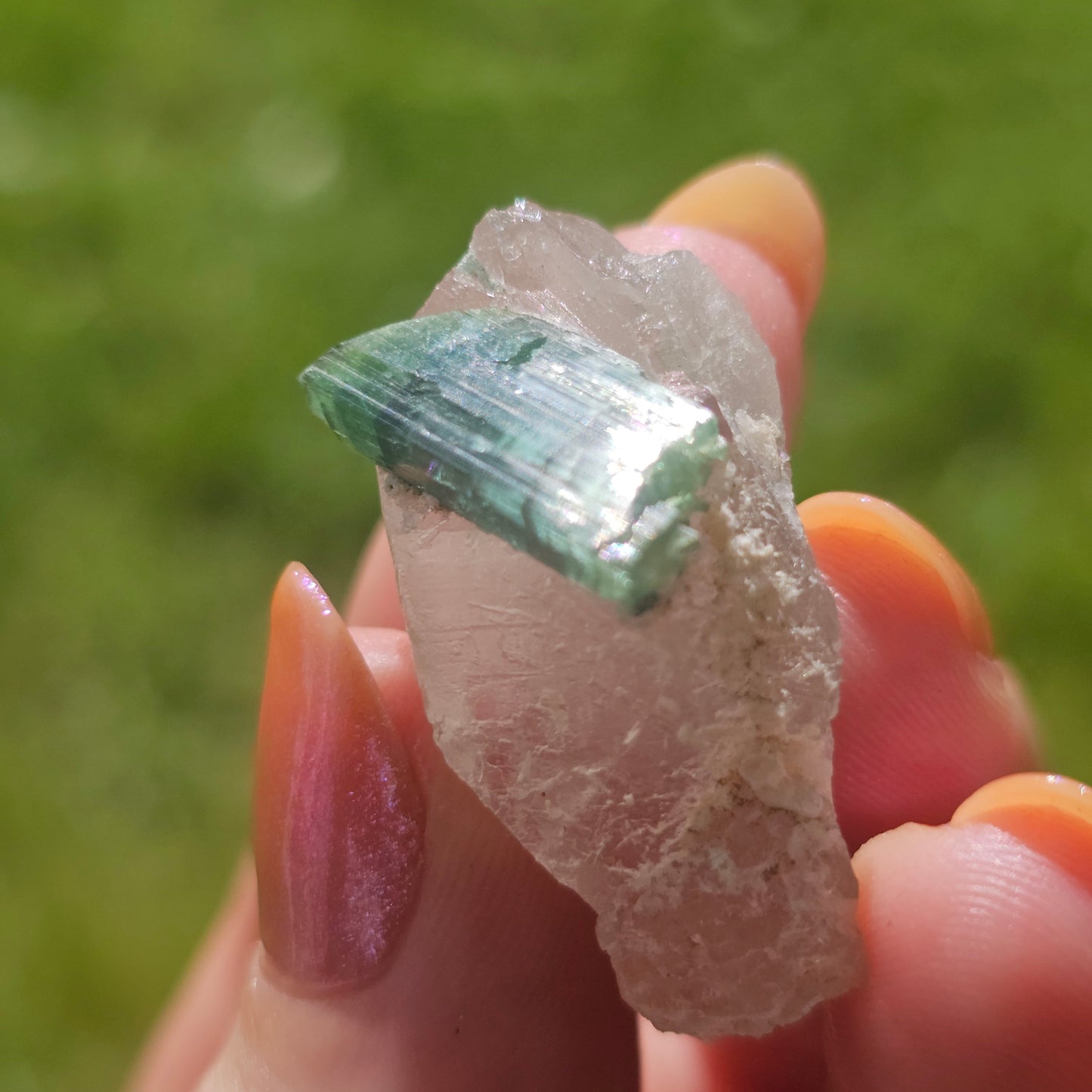 Blue Tourmaline on Quartz, 7.7g Crystal Combo, Indicolite and Rubellite on Clear Quartz, Terminated Crystals, Catseye Chatoyant Gem, Brazil