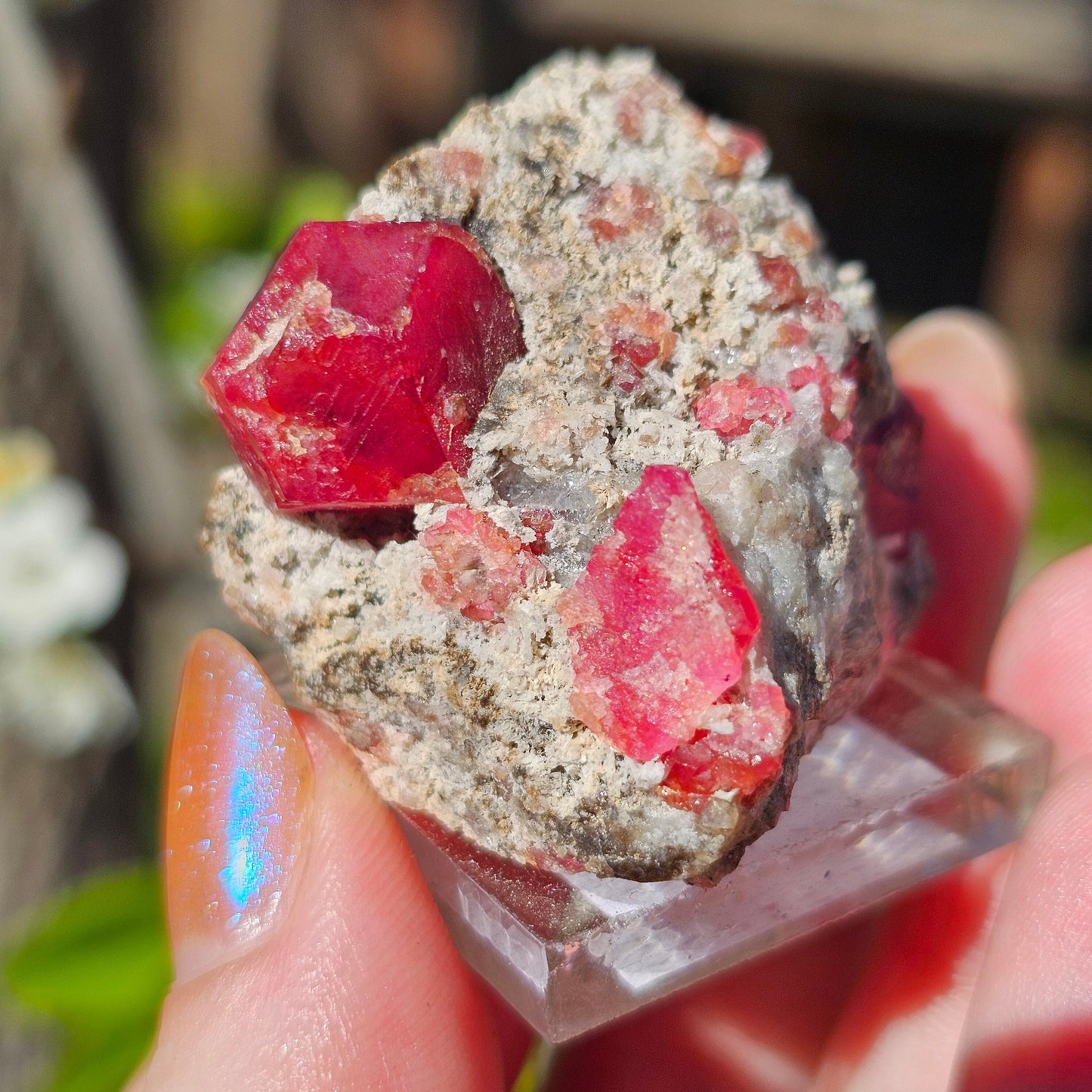 Raspberry Garnet on Matrix, Rare Raw Old Stock Mineral Specimen, Sierra de las Cruces Mexico, Local High End Rosalite, Deep Lustrous & Gemmy