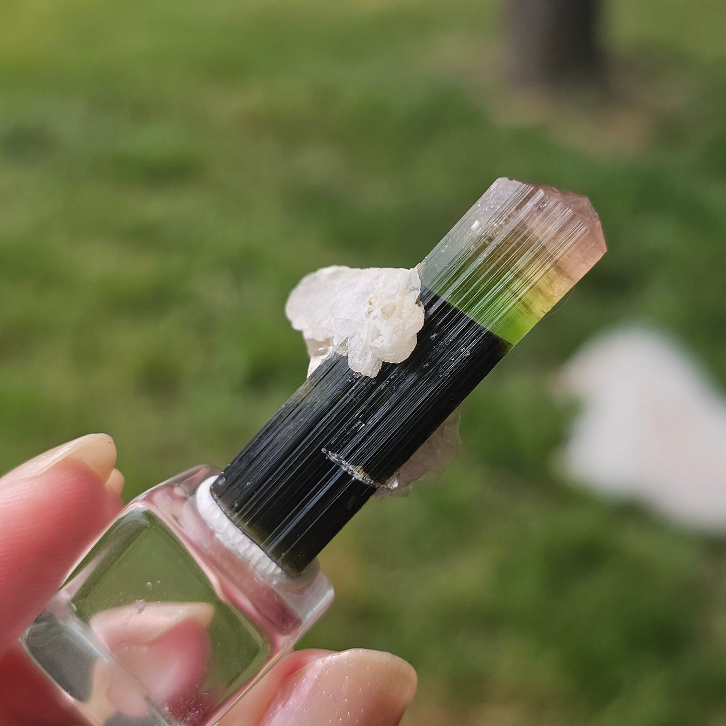 RESERVED for Bernhard Tourmaline Crystal, Stak Nala, Raw Elbaite, Double Terminated, with Matrix, Pink Green and Purple, Parti Colored