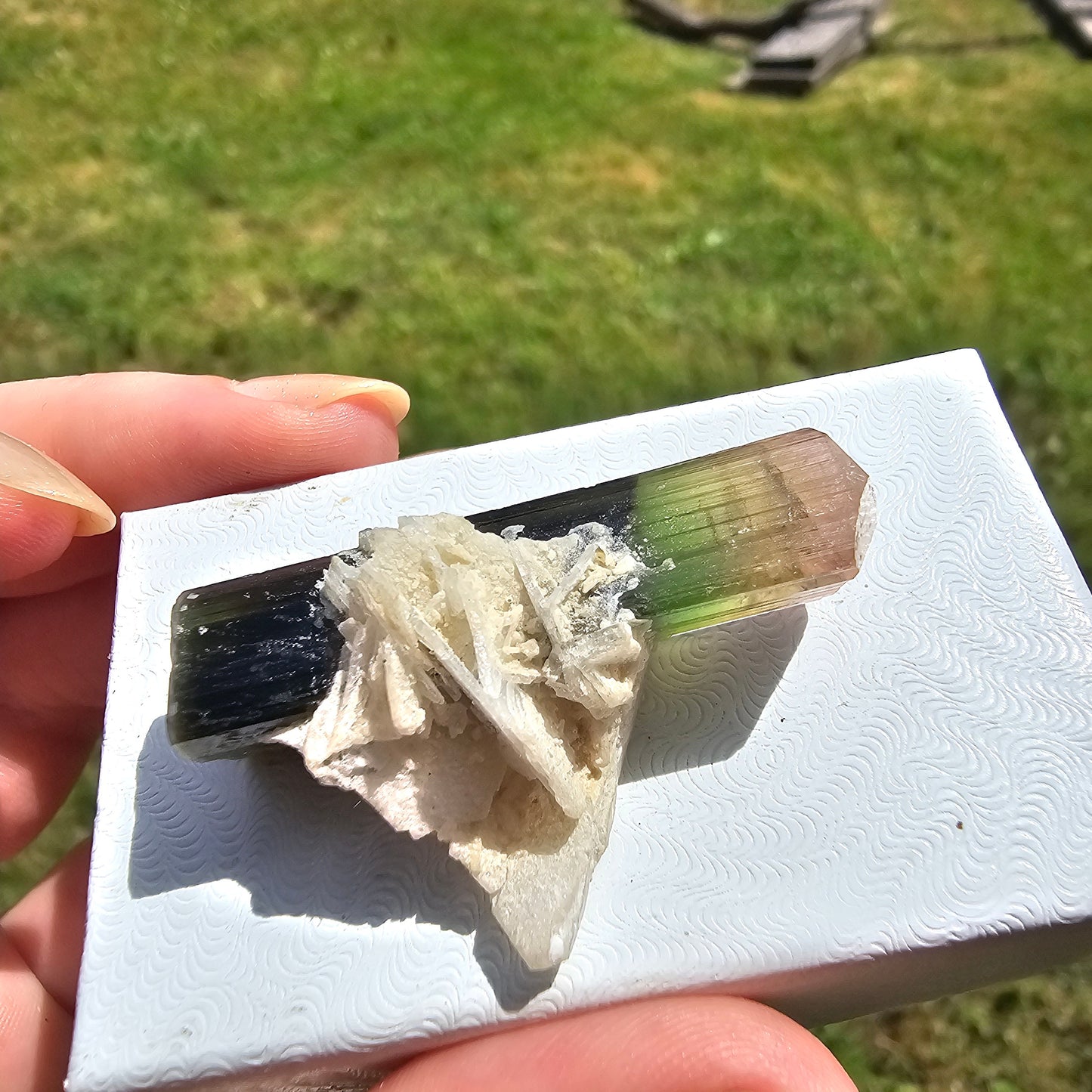RESERVED for Bernhard Tourmaline Crystal, Stak Nala, Raw Elbaite, Double Terminated, with Matrix, Pink Green and Purple, Parti Colored