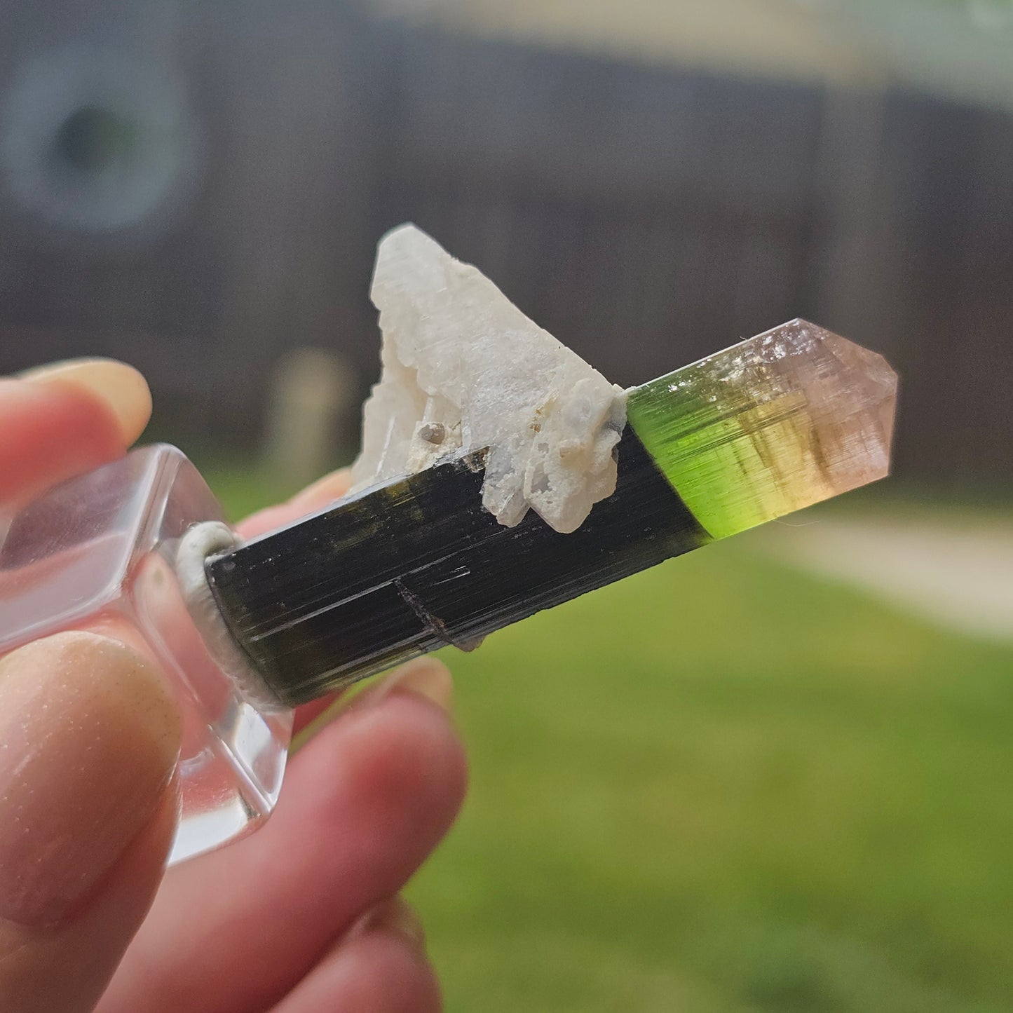 RESERVED for Bernhard Tourmaline Crystal, Stak Nala, Raw Elbaite, Double Terminated, with Matrix, Pink Green and Purple, Parti Colored