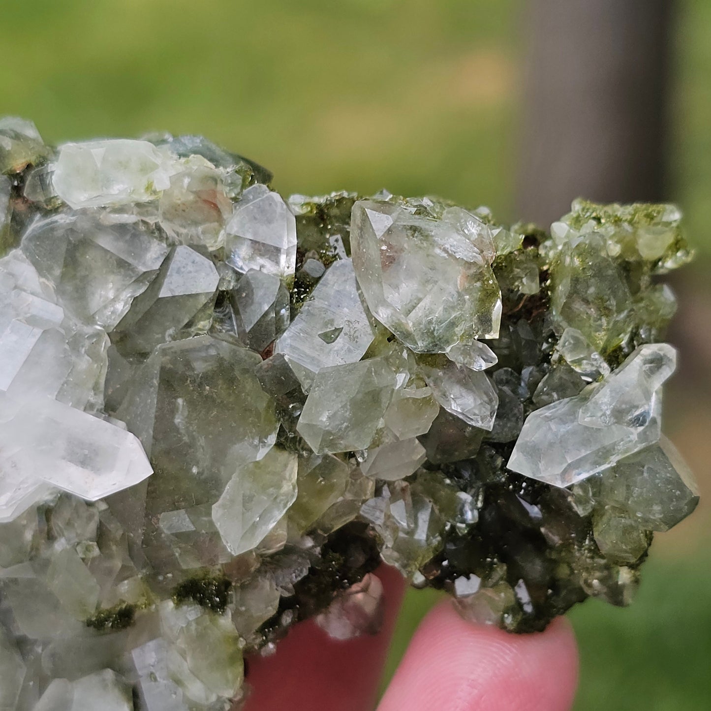 Epidote with Clear Quartz, Museum Worthy, High Grade Crystal Combo, Sparkly Druzy Dark Green Epidote, Perfect Clusters, Double Terminated