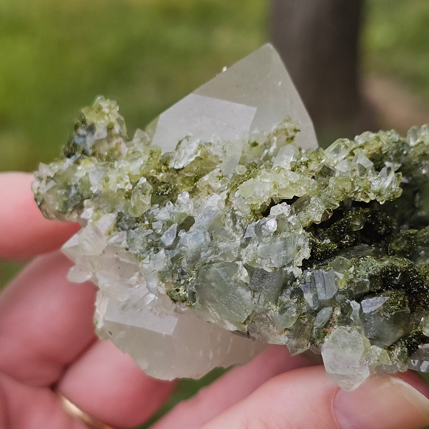 Epidote with Clear Quartz, Museum Worthy, High Grade Crystal Combo, Sparkly Druzy Dark Green Epidote, Perfect Clusters, Double Terminated