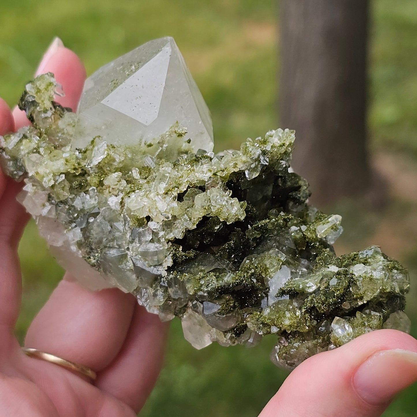 Epidote with Clear Quartz, Museum Worthy, High Grade Crystal Combo, Sparkly Druzy Dark Green Epidote, Perfect Clusters, Double Terminated