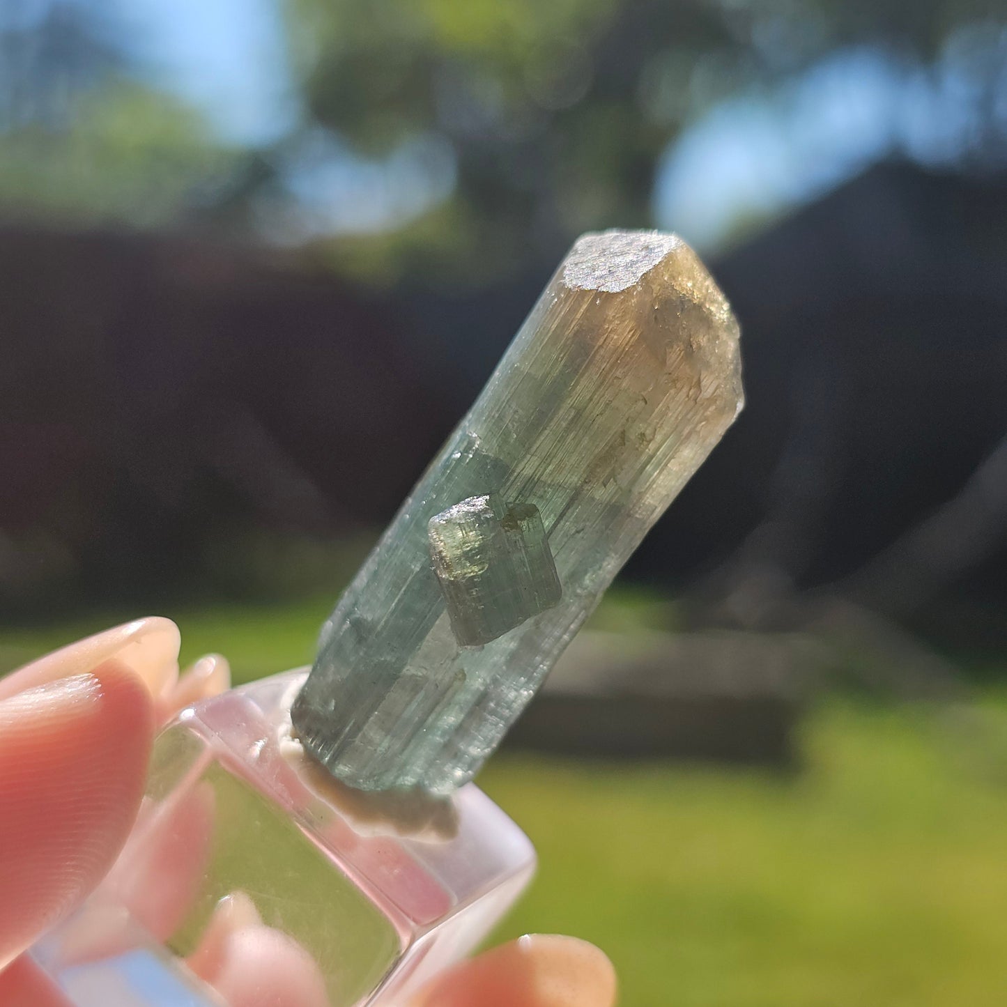 RESERVED for Jessy 9g Tourmaline Crystal from Brazil, Blue Indicolite with Yellow Cap, Terminated Rare Bicolor, Raw Elbaite Tourmaline