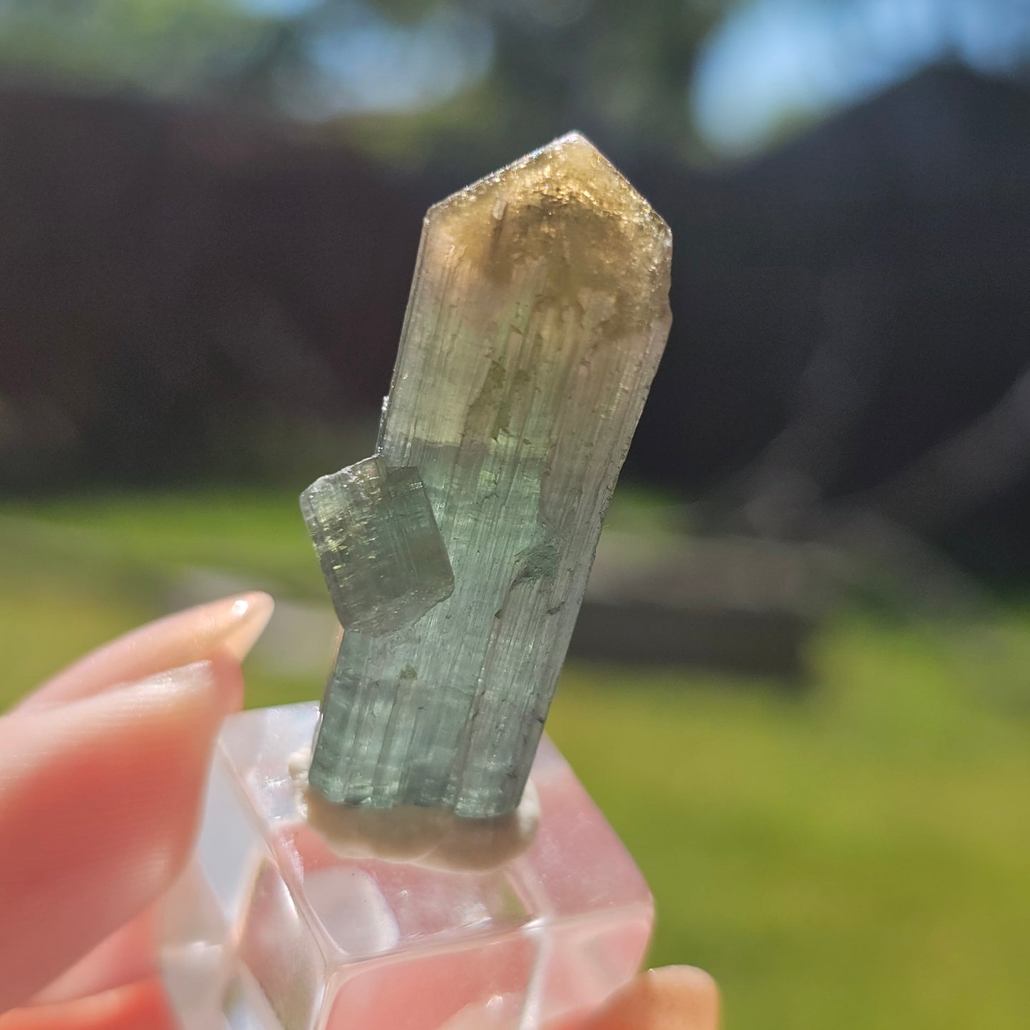 RESERVED for Jessy 9g Tourmaline Crystal from Brazil, Blue Indicolite with Yellow Cap, Terminated Rare Bicolor, Raw Elbaite Tourmaline