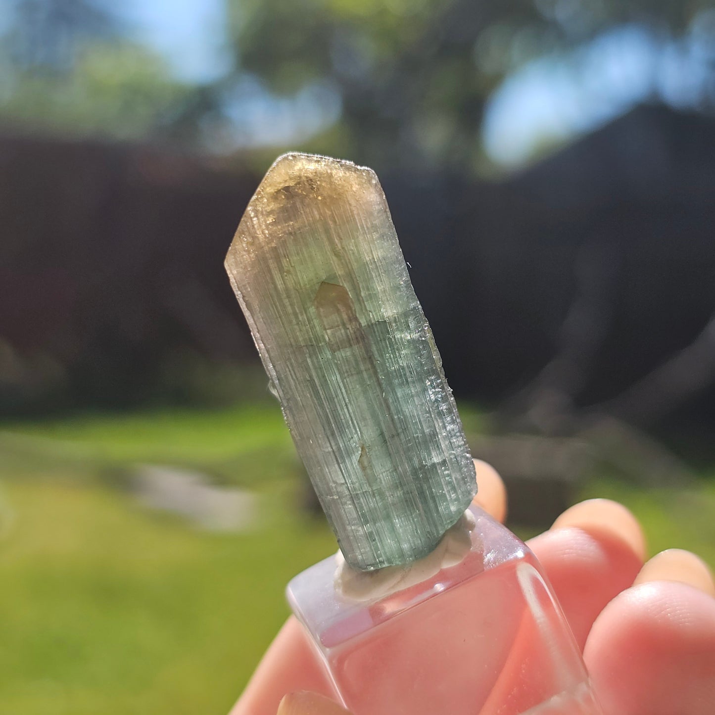RESERVED for Jessy 9g Tourmaline Crystal from Brazil, Blue Indicolite with Yellow Cap, Terminated Rare Bicolor, Raw Elbaite Tourmaline