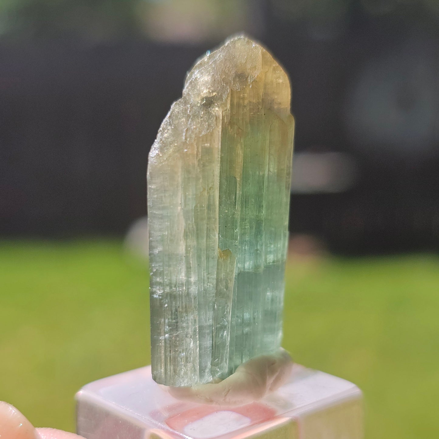 6.8g Tourmaline Crystal from Brazil, Blue Indicolite w Yellow Cap, Tabby Terminated Rare Bicolor, Raw Tabular Elbaite, Collector Gemstone