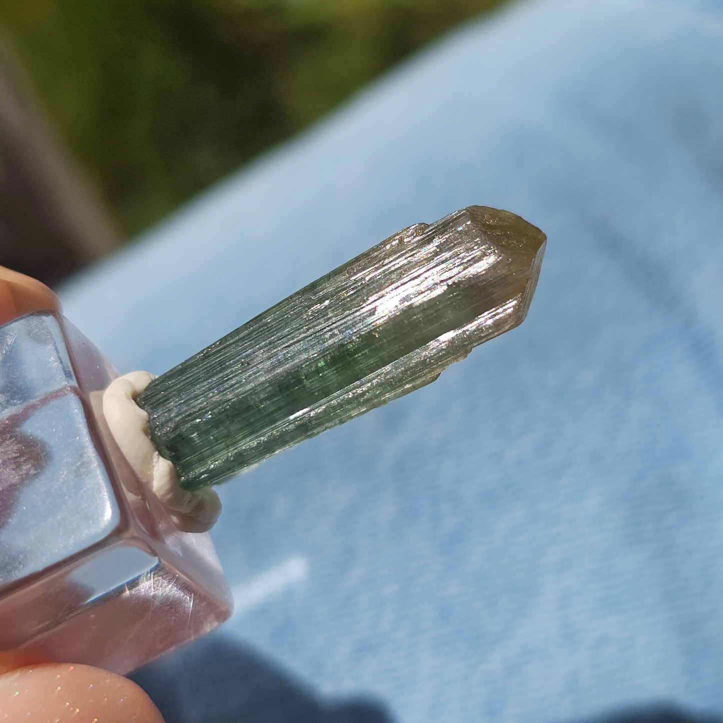 6.8g Tourmaline Crystal from Brazil, Blue Indicolite w Yellow Cap, Tabby Terminated Rare Bicolor, Raw Tabular Elbaite, Collector Gemstone