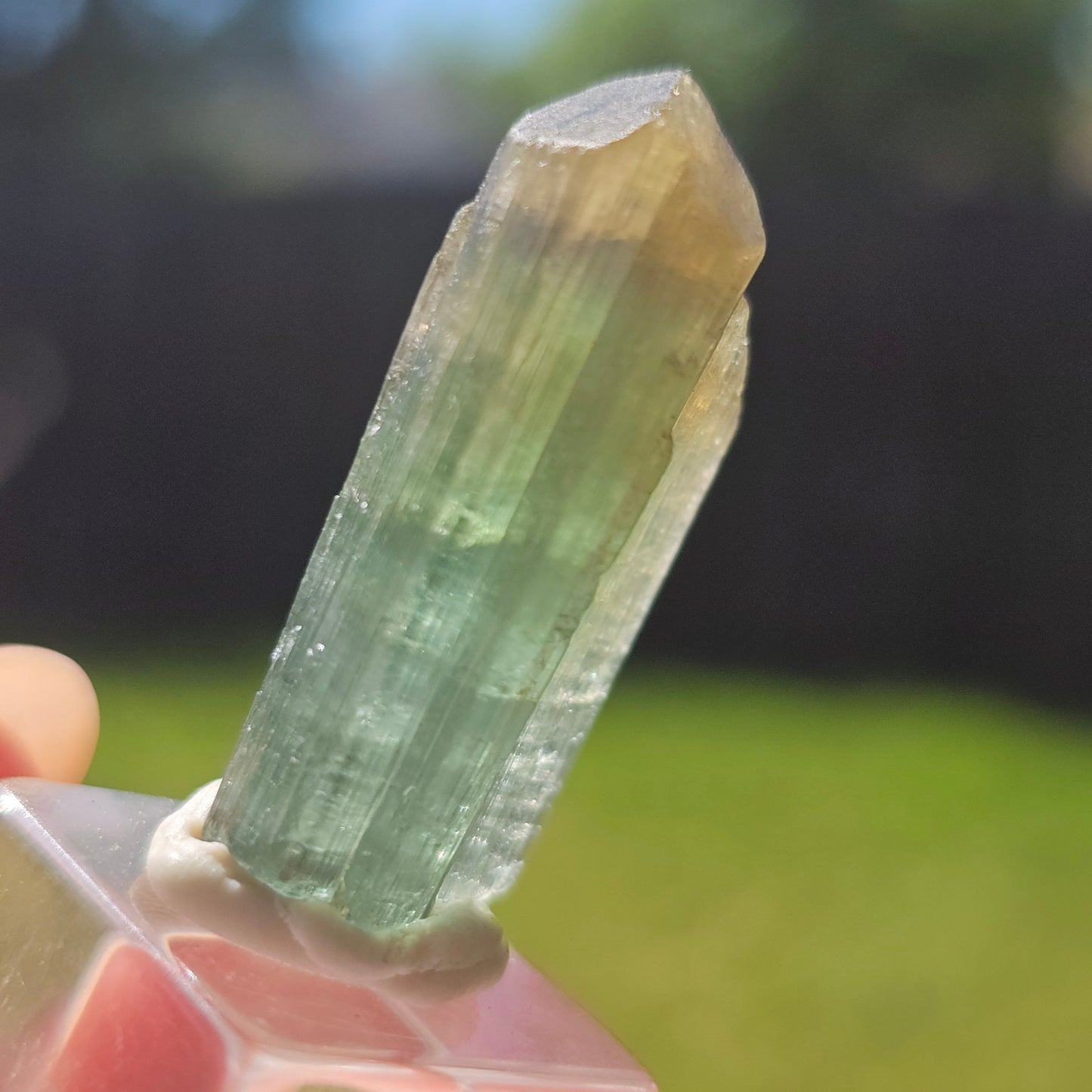 6.8g Tourmaline Crystal from Brazil, Blue Indicolite w Yellow Cap, Tabby Terminated Rare Bicolor, Raw Tabular Elbaite, Collector Gemstone