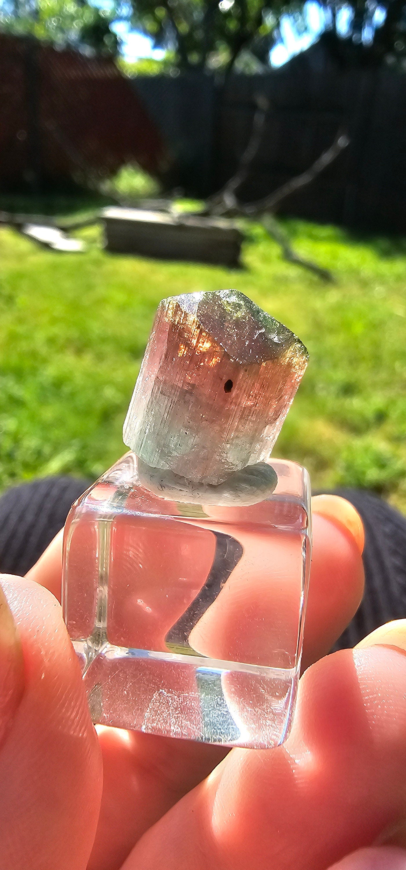 3.6g Tourmaline Crystal, Rough Raw Elbaite, Multicolored Blue, Red, Green, Lipstick tourmaline, Terminated Rare Collector Gemstone, Aricanga