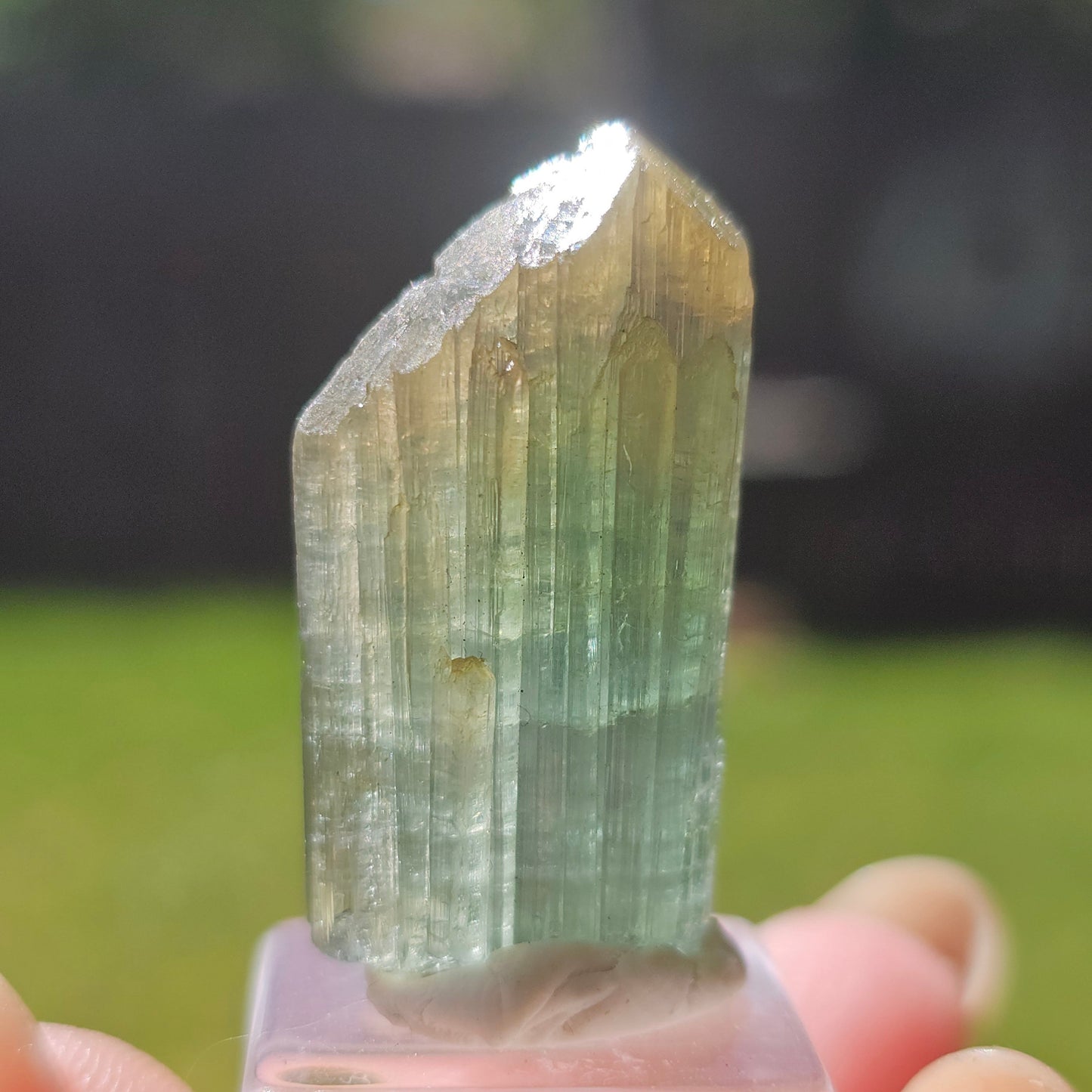 6.8g Tourmaline Crystal from Brazil, Blue Indicolite w Yellow Cap, Tabby Terminated Rare Bicolor, Raw Tabular Elbaite, Collector Gemstone