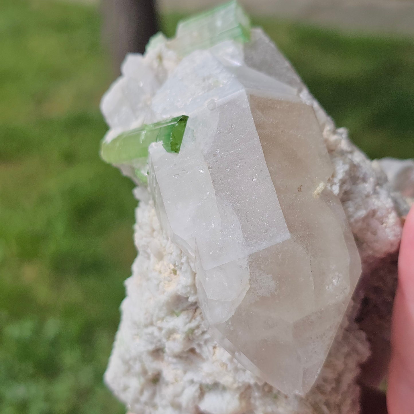 RESERVED ~ XL Cabinet Crystal ~ Green Tourmaline / Verdellite Elbaite on Quartz