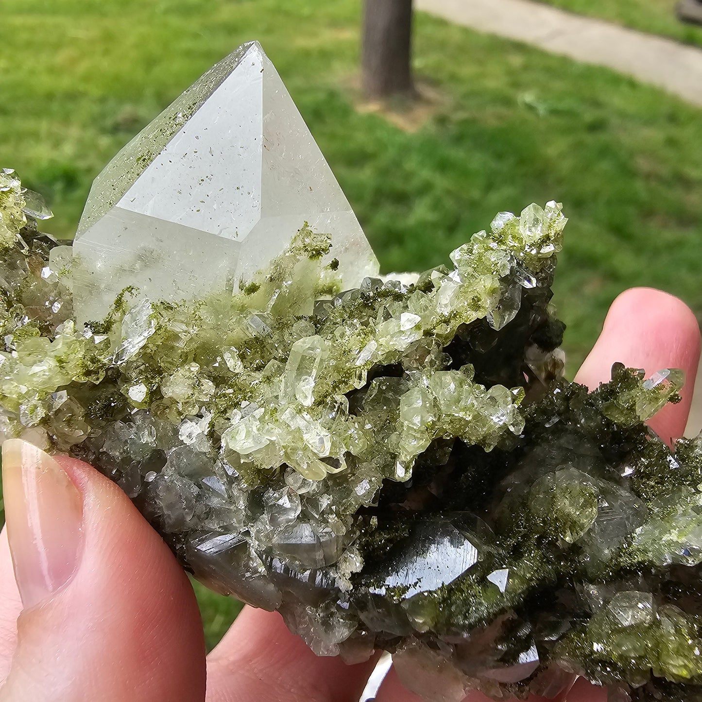 Epidote with Clear Quartz, Museum Worthy, High Grade Crystal Combo, Sparkly Druzy Dark Green Epidote, Perfect Clusters, Double Terminated