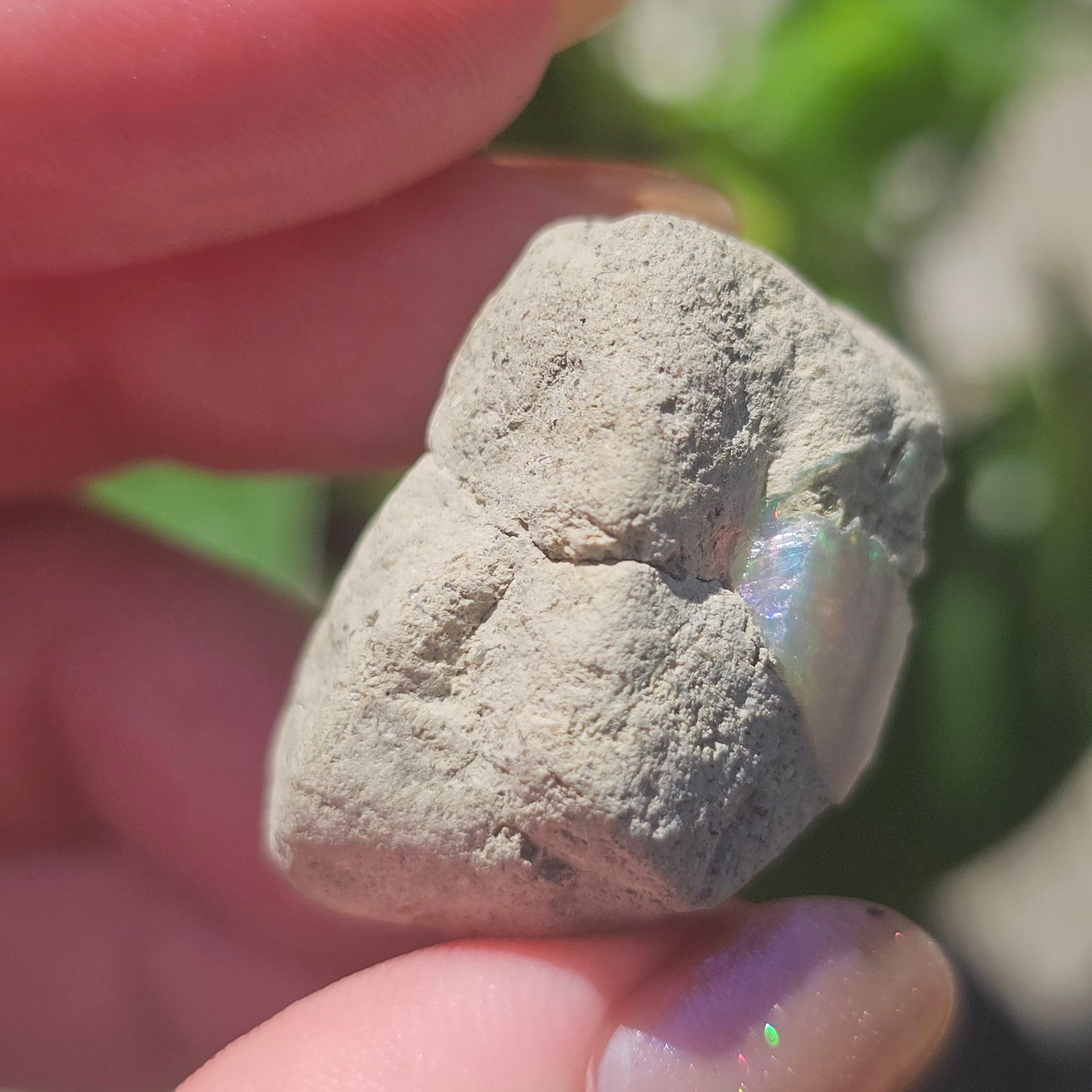 46ct Raw Opal, Rough Rare Rainbow Mineral Specimen, Rainbow Flashy Gem, Multicolored, Welo Ethiopia, Newer find, Opal w Matrix, Collectable