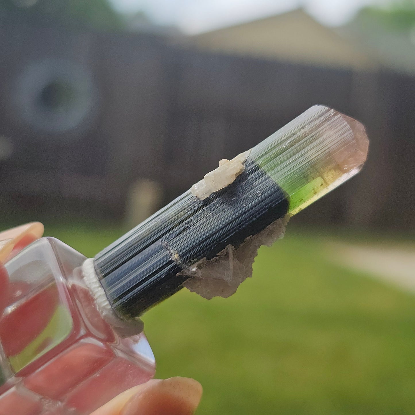 RESERVED for Bernhard Tourmaline Crystal, Stak Nala, Raw Elbaite, Double Terminated, with Matrix, Pink Green and Purple, Parti Colored