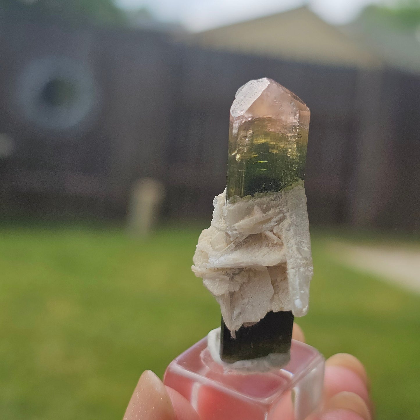RESERVED for Bernhard Tourmaline Crystal, Stak Nala, Raw Elbaite, Double Terminated, with Matrix, Pink Green and Purple, Parti Colored
