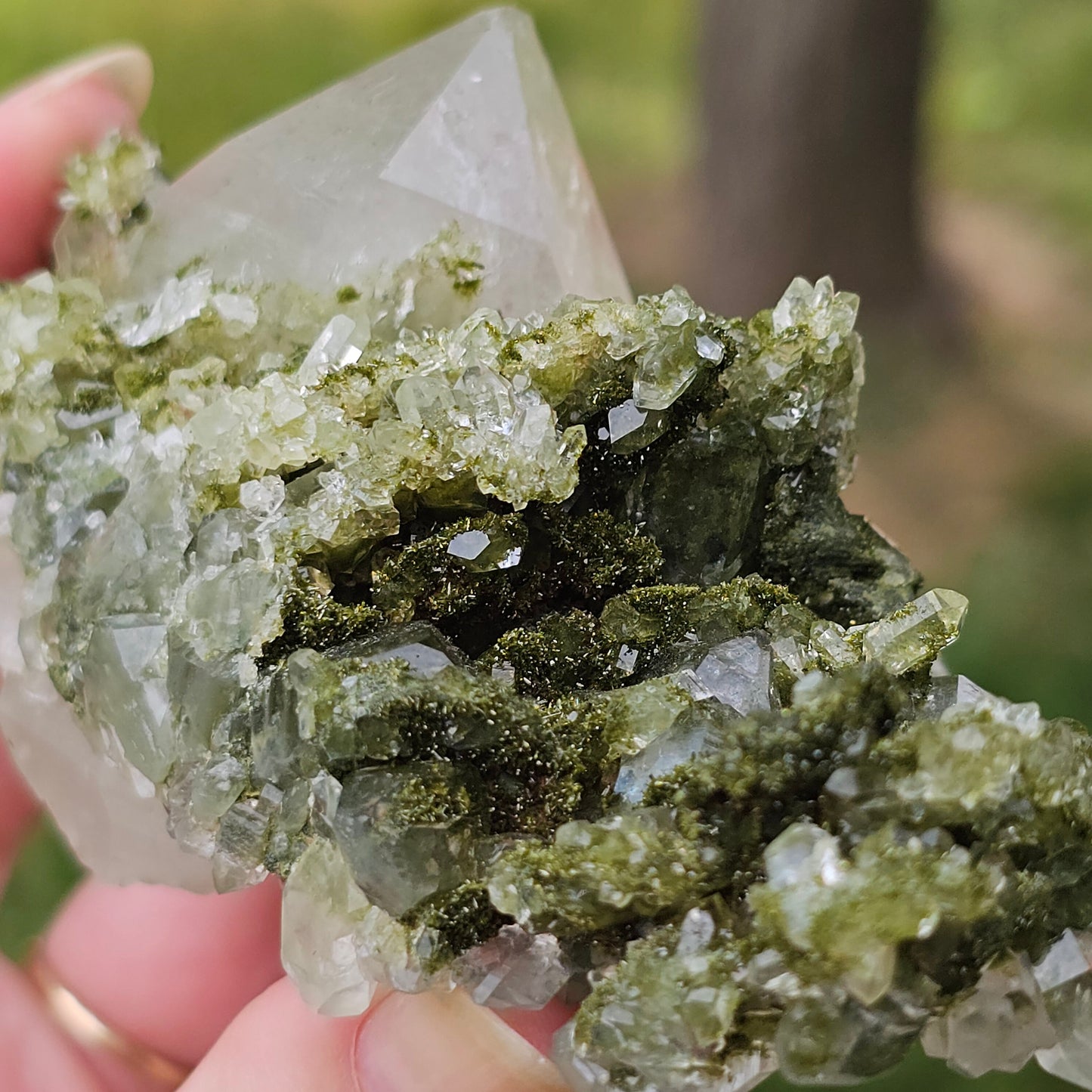 Epidote with Clear Quartz, Museum Worthy, High Grade Crystal Combo, Sparkly Druzy Dark Green Epidote, Perfect Clusters, Double Terminated