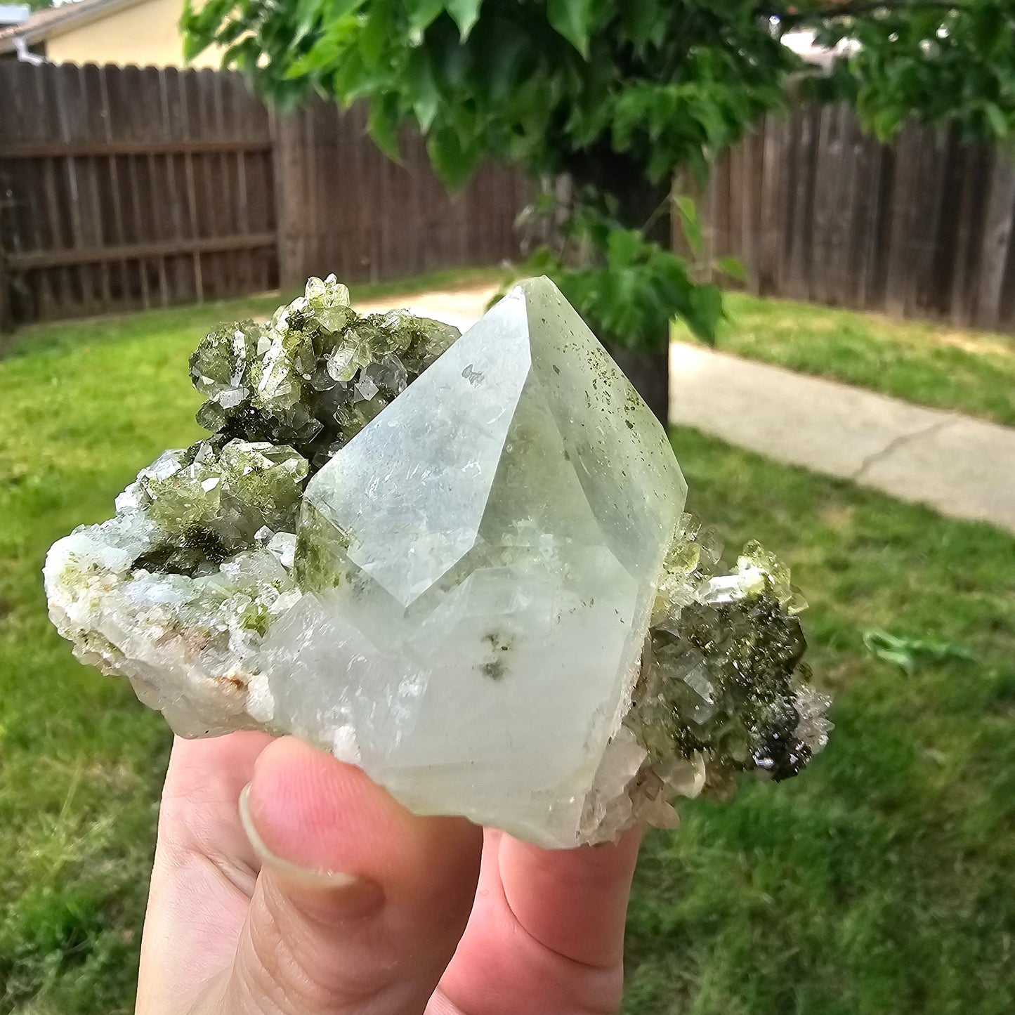 Epidote with Clear Quartz, Museum Worthy, High Grade Crystal Combo, Sparkly Druzy Dark Green Epidote, Perfect Clusters, Double Terminated
