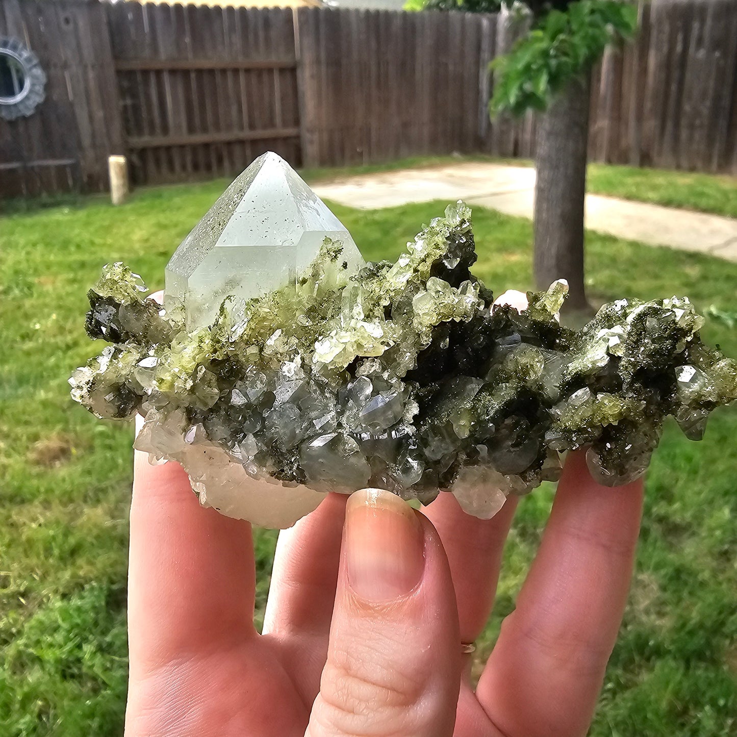 Epidote with Clear Quartz, Museum Worthy, High Grade Crystal Combo, Sparkly Druzy Dark Green Epidote, Perfect Clusters, Double Terminated