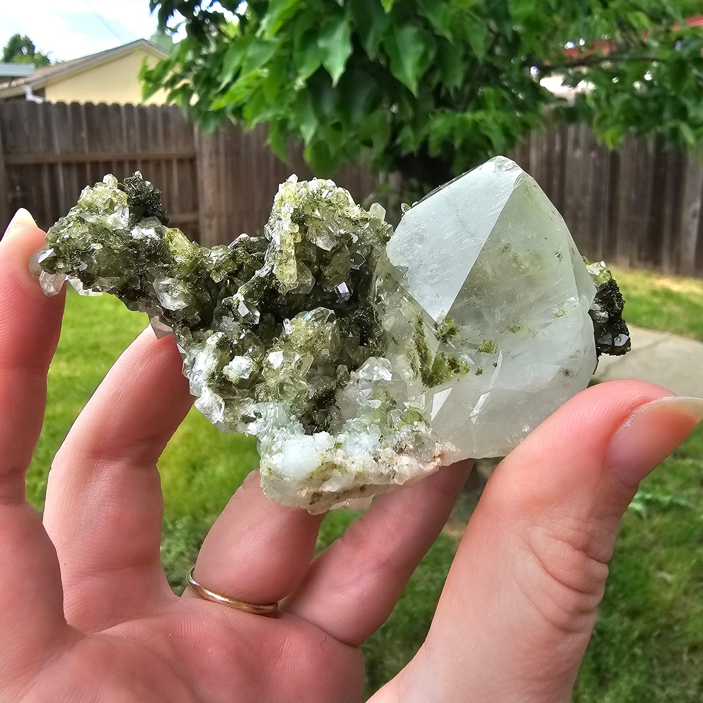 Epidote with Clear Quartz, Museum Worthy, High Grade Crystal Combo, Sparkly Druzy Dark Green Epidote, Perfect Clusters, Double Terminated