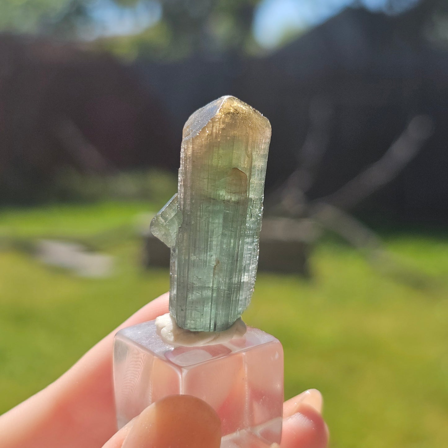 RESERVED for Jessy 9g Tourmaline Crystal from Brazil, Blue Indicolite with Yellow Cap, Terminated Rare Bicolor, Raw Elbaite Tourmaline