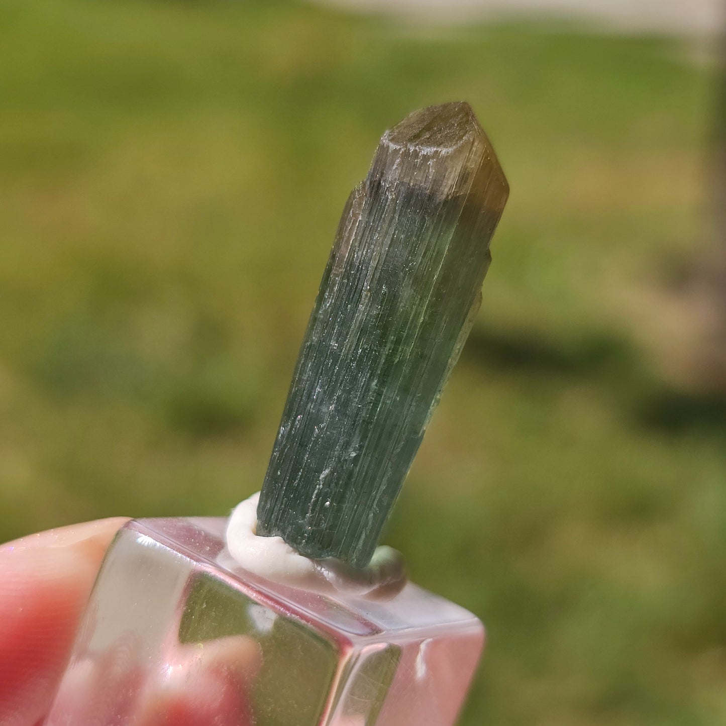 6.8g Tourmaline Crystal from Brazil, Blue Indicolite w Yellow Cap, Tabby Terminated Rare Bicolor, Raw Tabular Elbaite, Collector Gemstone